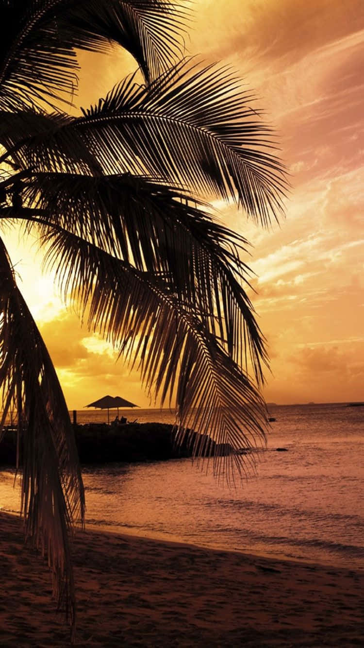 Enhance Your Apple Device With A Tropical Vibe Background
