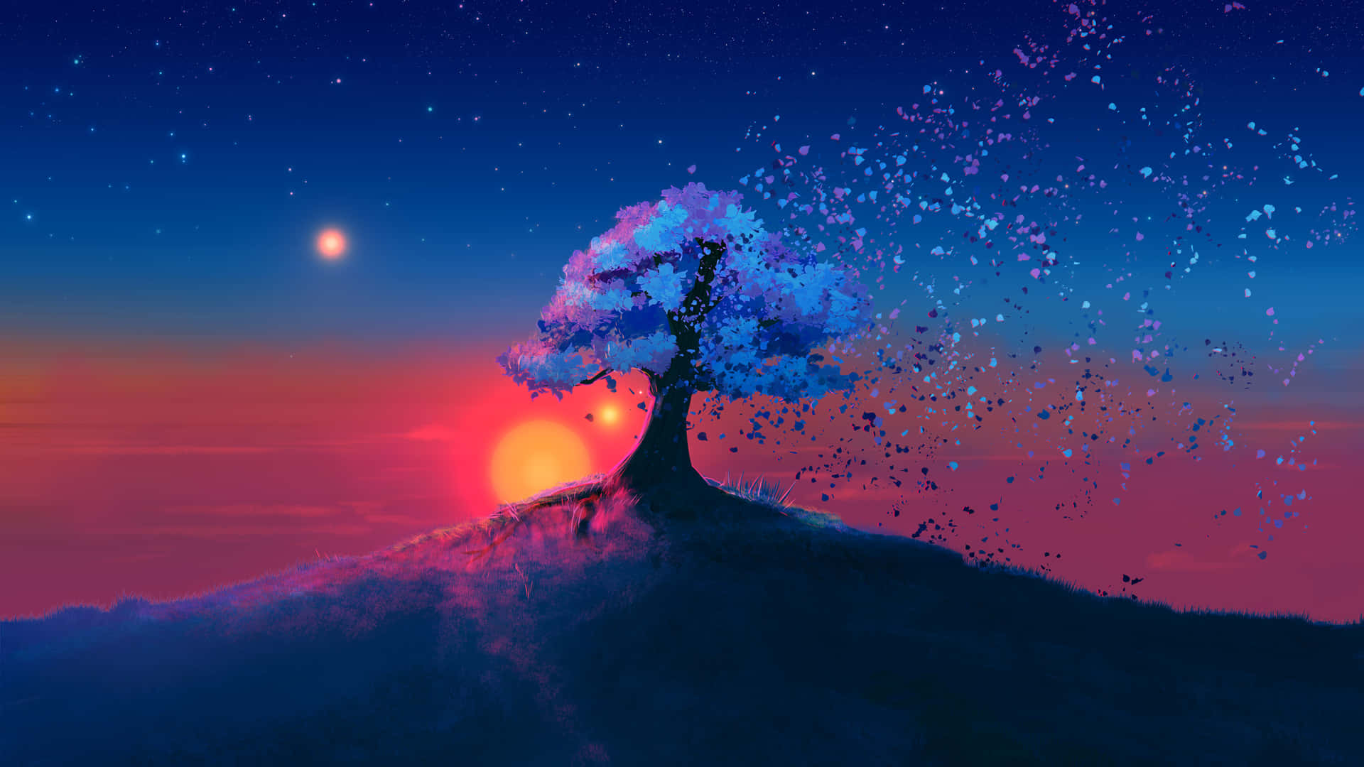 Enhance Your Computer's Aesthetic With A 4k Wallpaper Background
