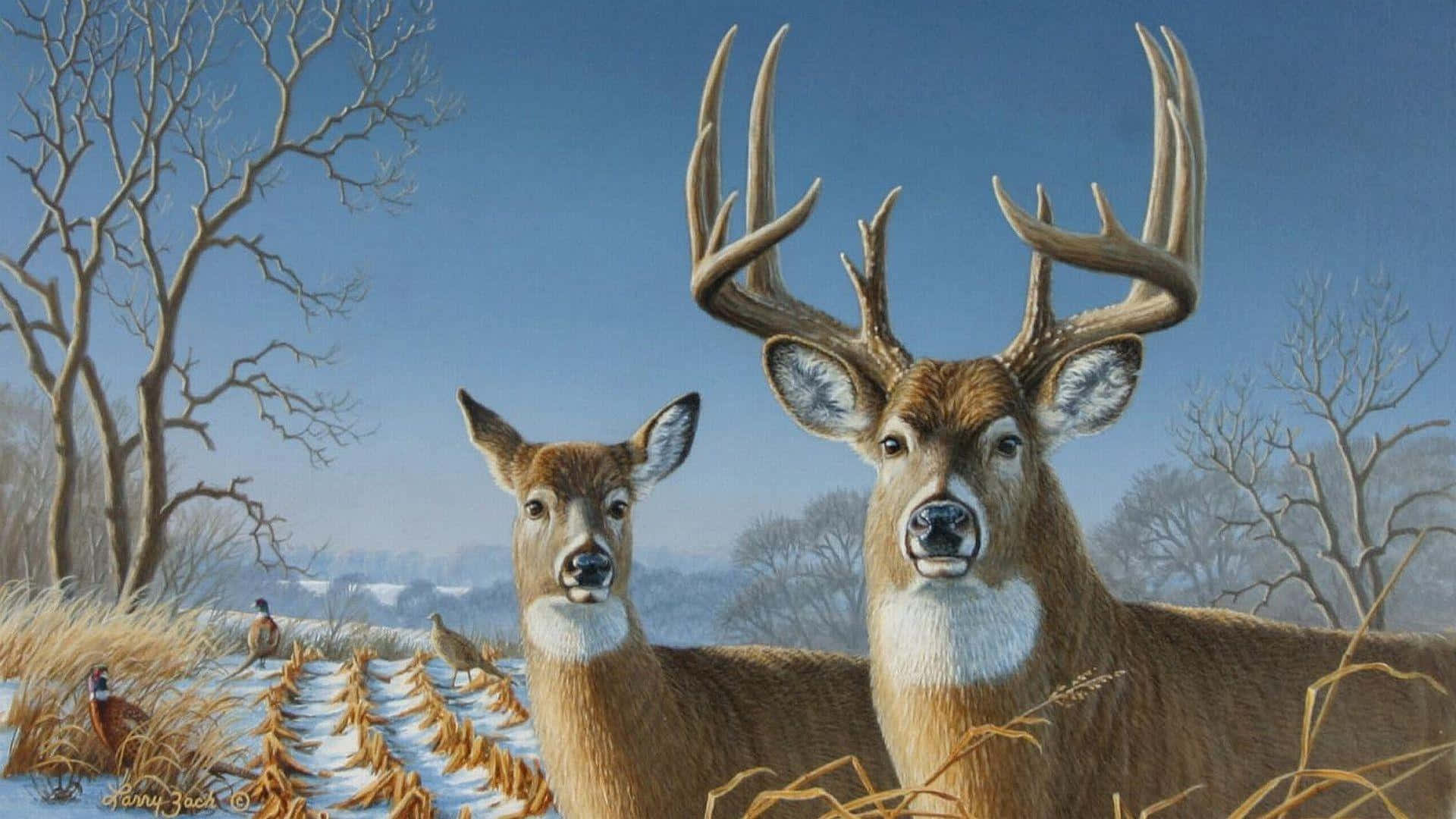 Enhance Your Workspace With This Beautiful Deer Wallpaper Background