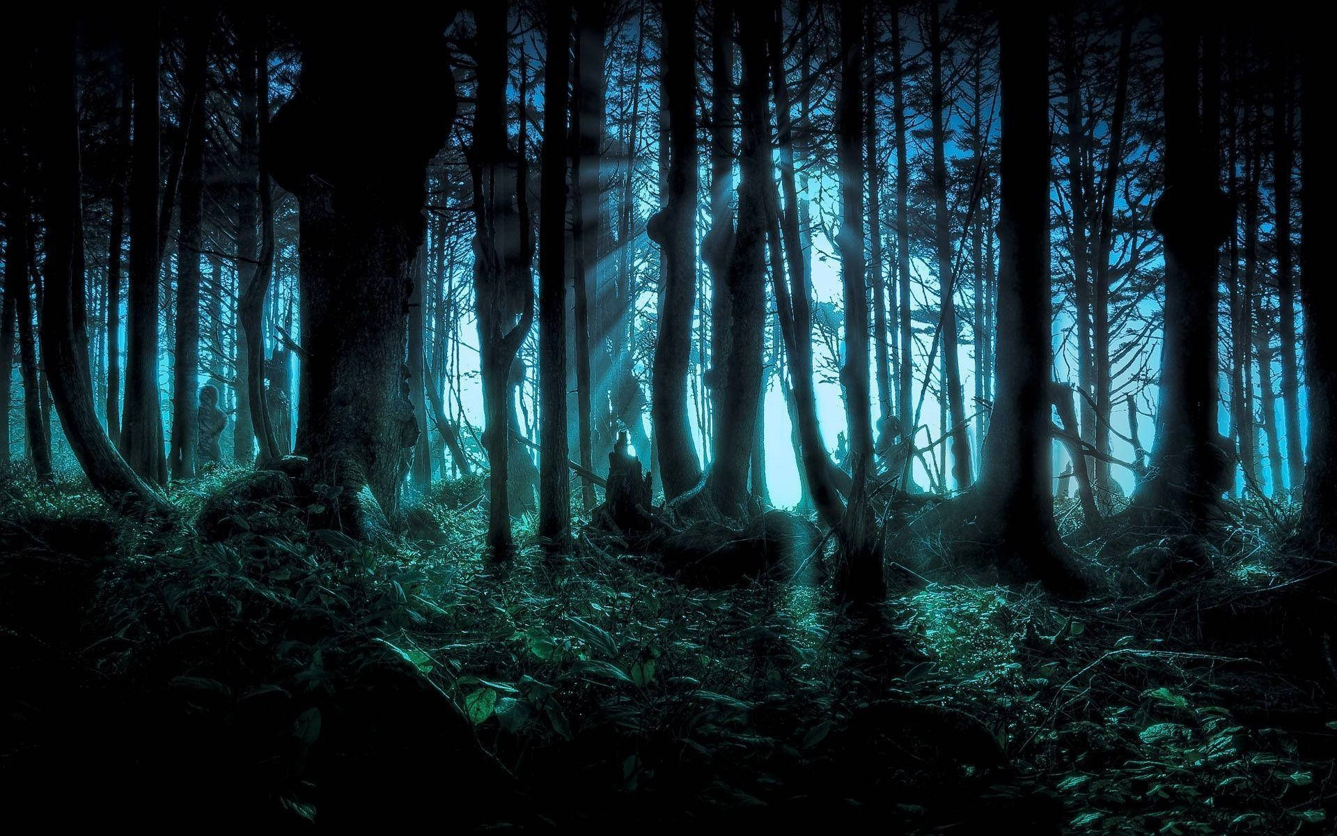 Enigma Unearthed: A Mysterious Journey Into The Creepy Forest Background