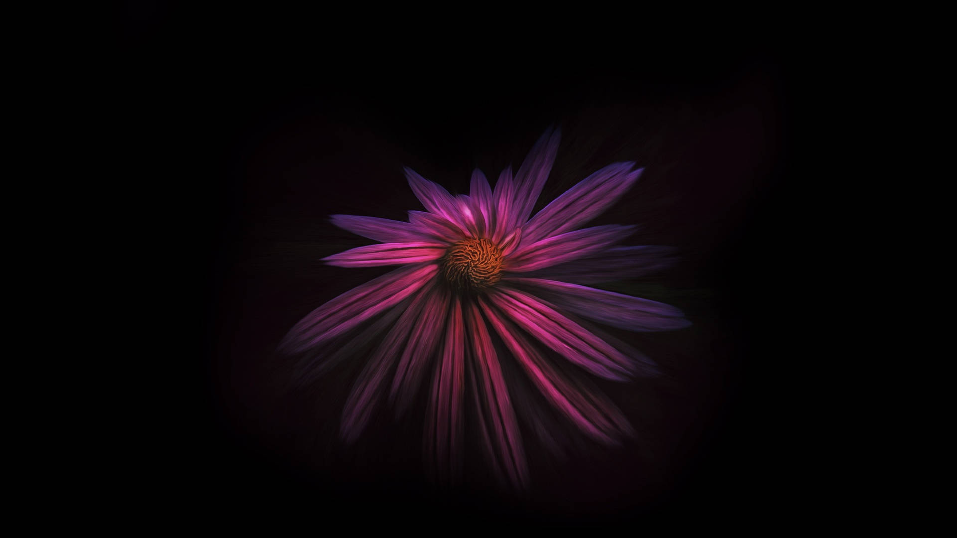 Enigmatic Beauty Of Dark Hd Flowers Background