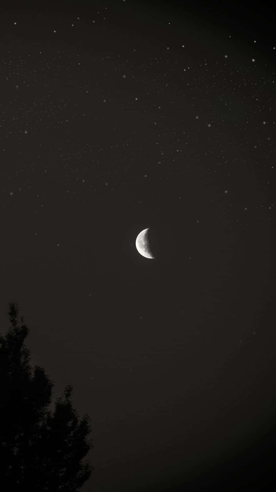 Enigmatic Black And White Star Background
