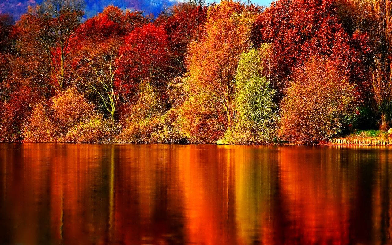 Enjoy A Autumn Stroll Around This Peaceful, Colorful Lake. Background
