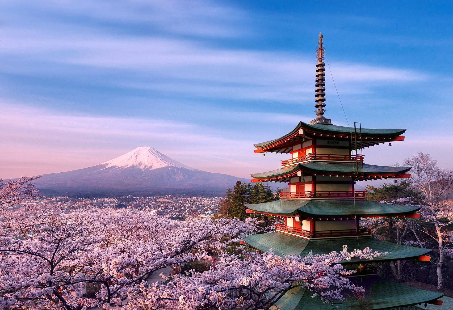 Enjoy A Beautiful Cherry Blossom View In Japan Background