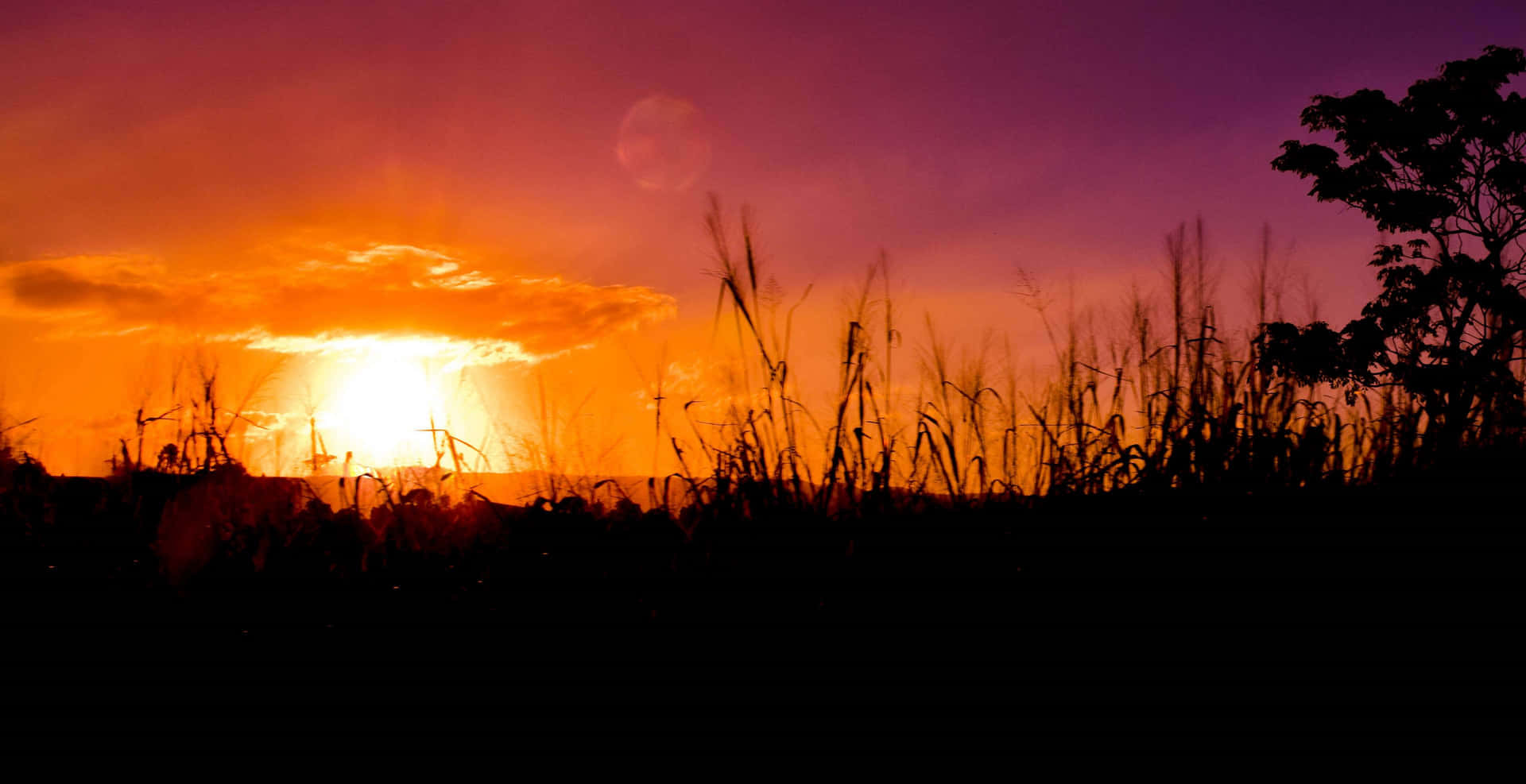 Enjoy A Beautiful Day Out In The Sunshine! Background