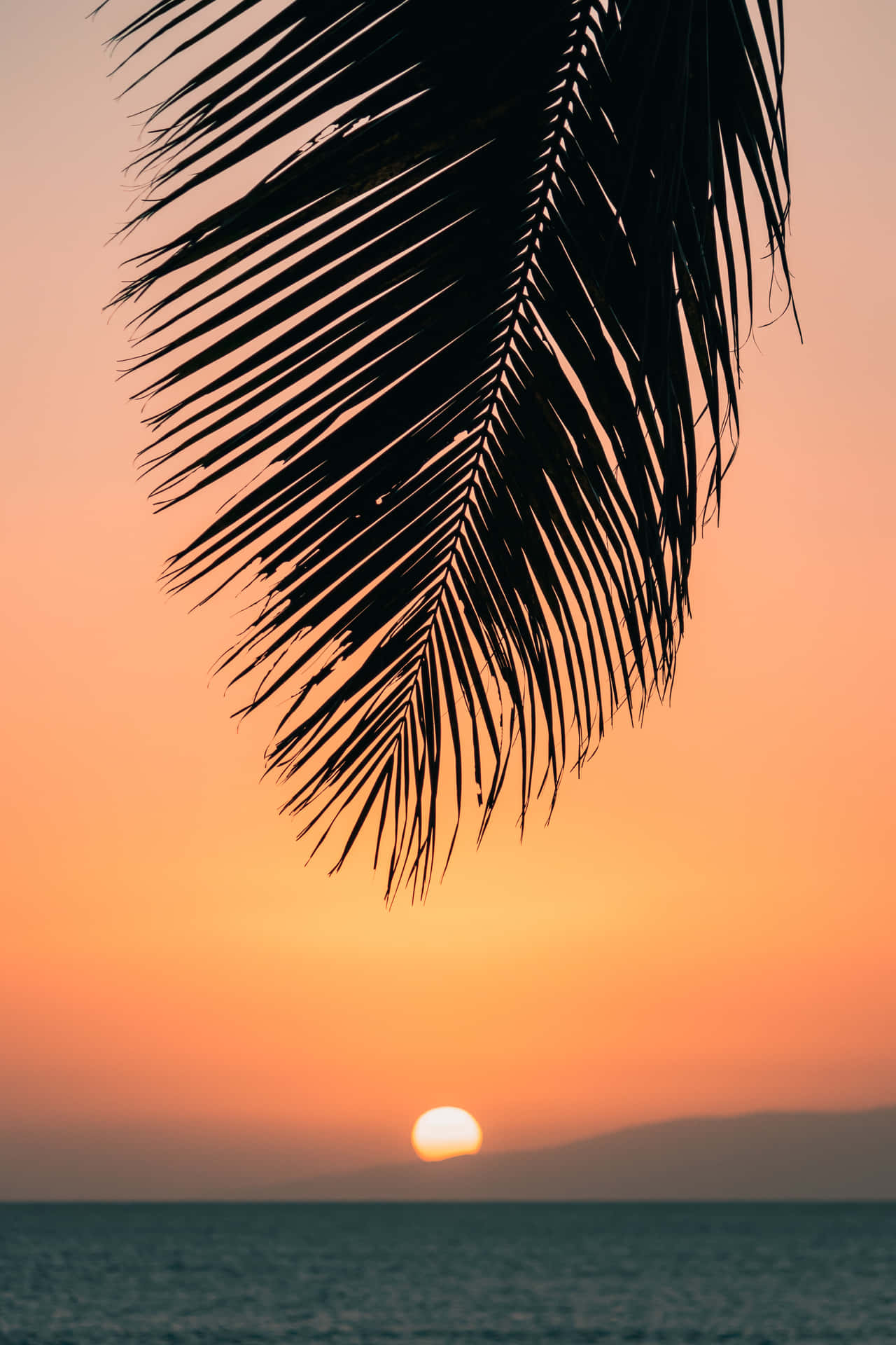 Enjoy A Beautiful Hawaii Sunset Background