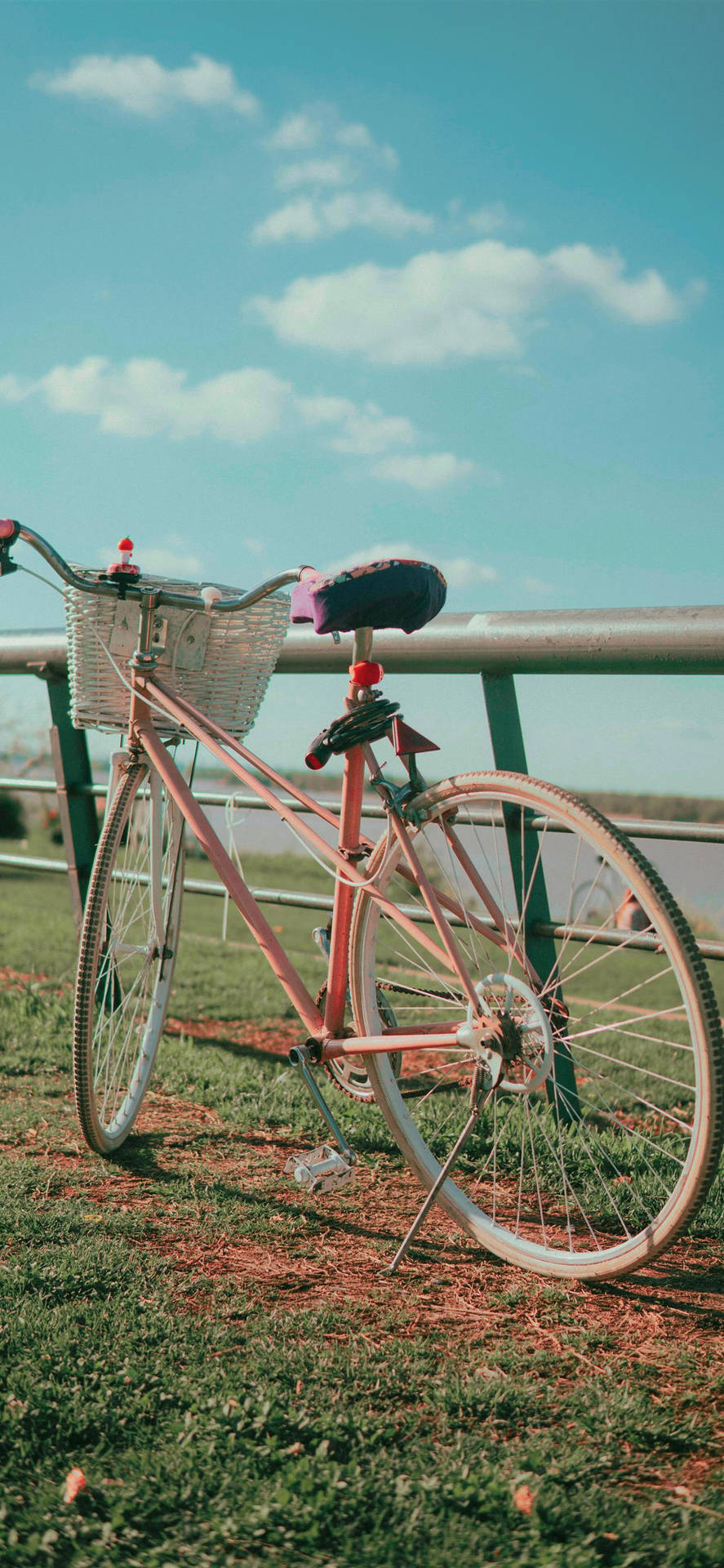 Enjoy A Beautiful On-the-go View Of Your Favorite City While Biking And Taking Pictures On Your Iphone Background