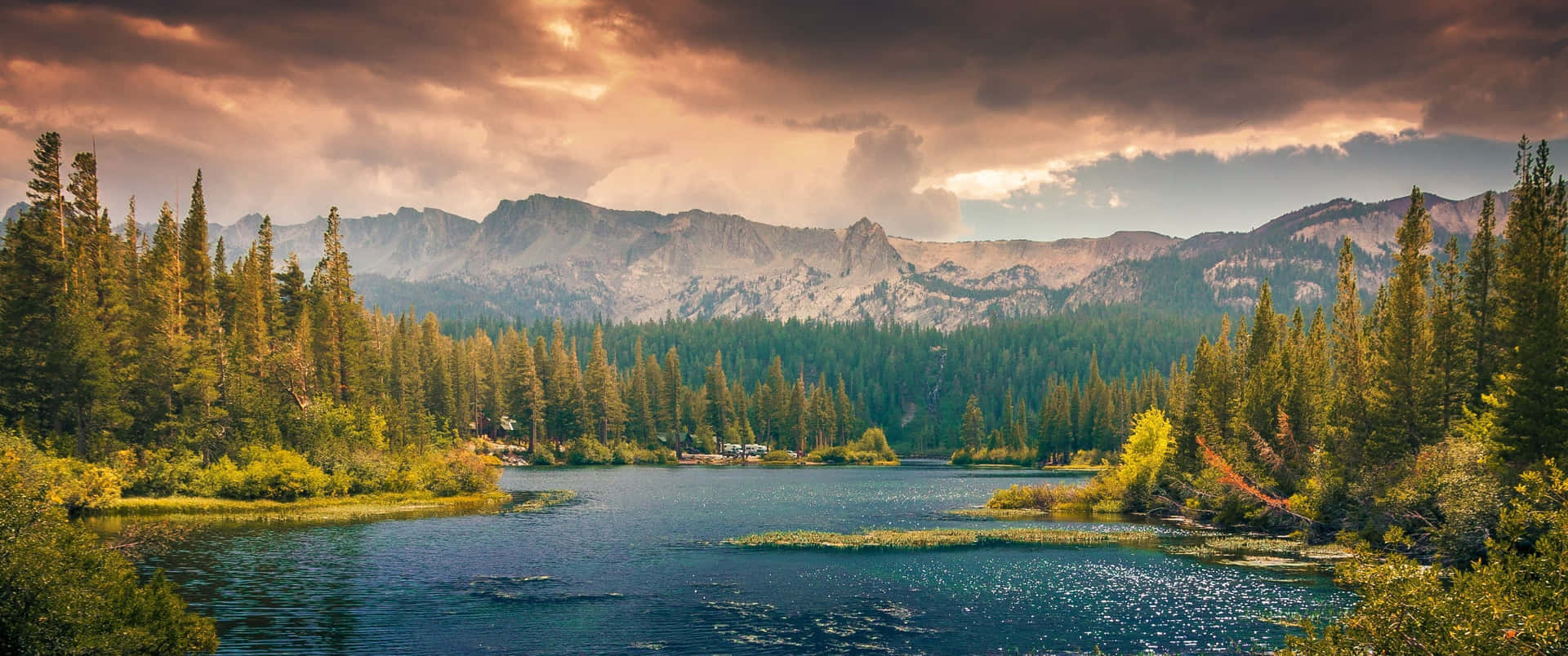 Enjoy A Breath Of Fresh Air