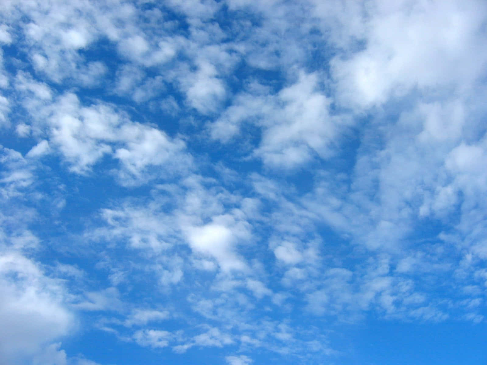 Enjoy A Bright And Sunny Day With Brilliant Blue Skies. Background