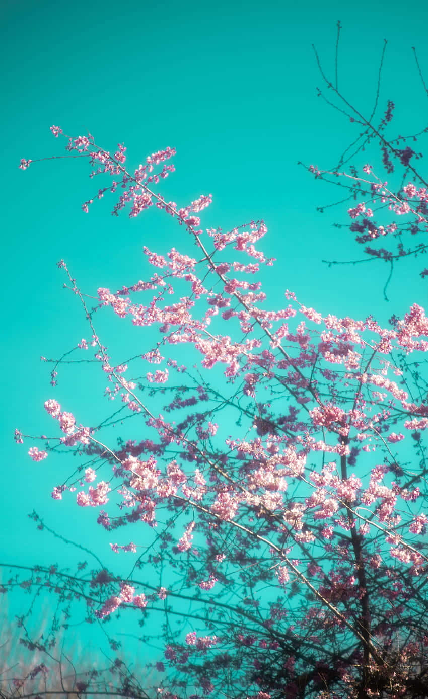 Enjoy A Cool, Refreshing Arizona Tea! Background