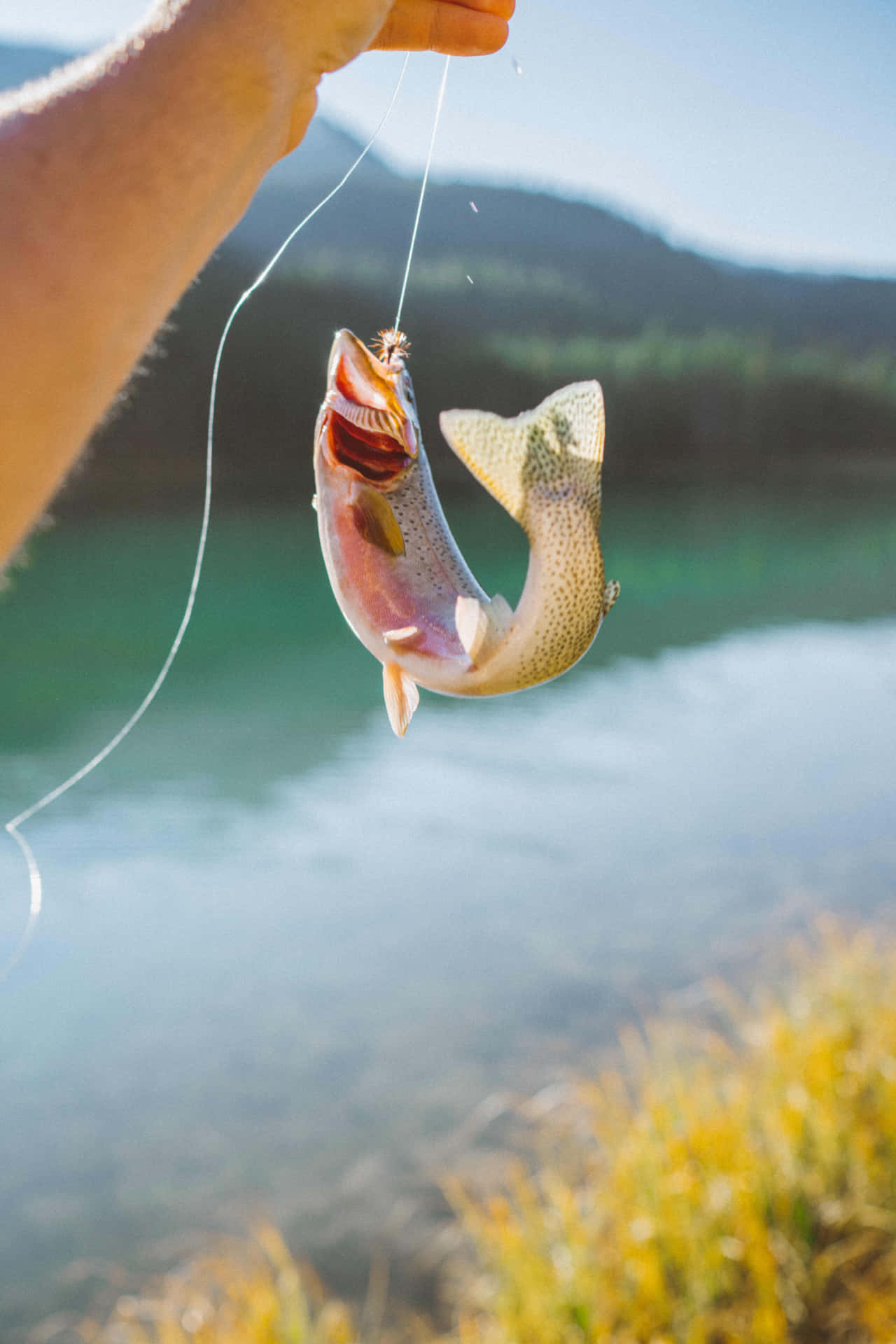 Enjoy A Day Of Fishing With Your Phone!