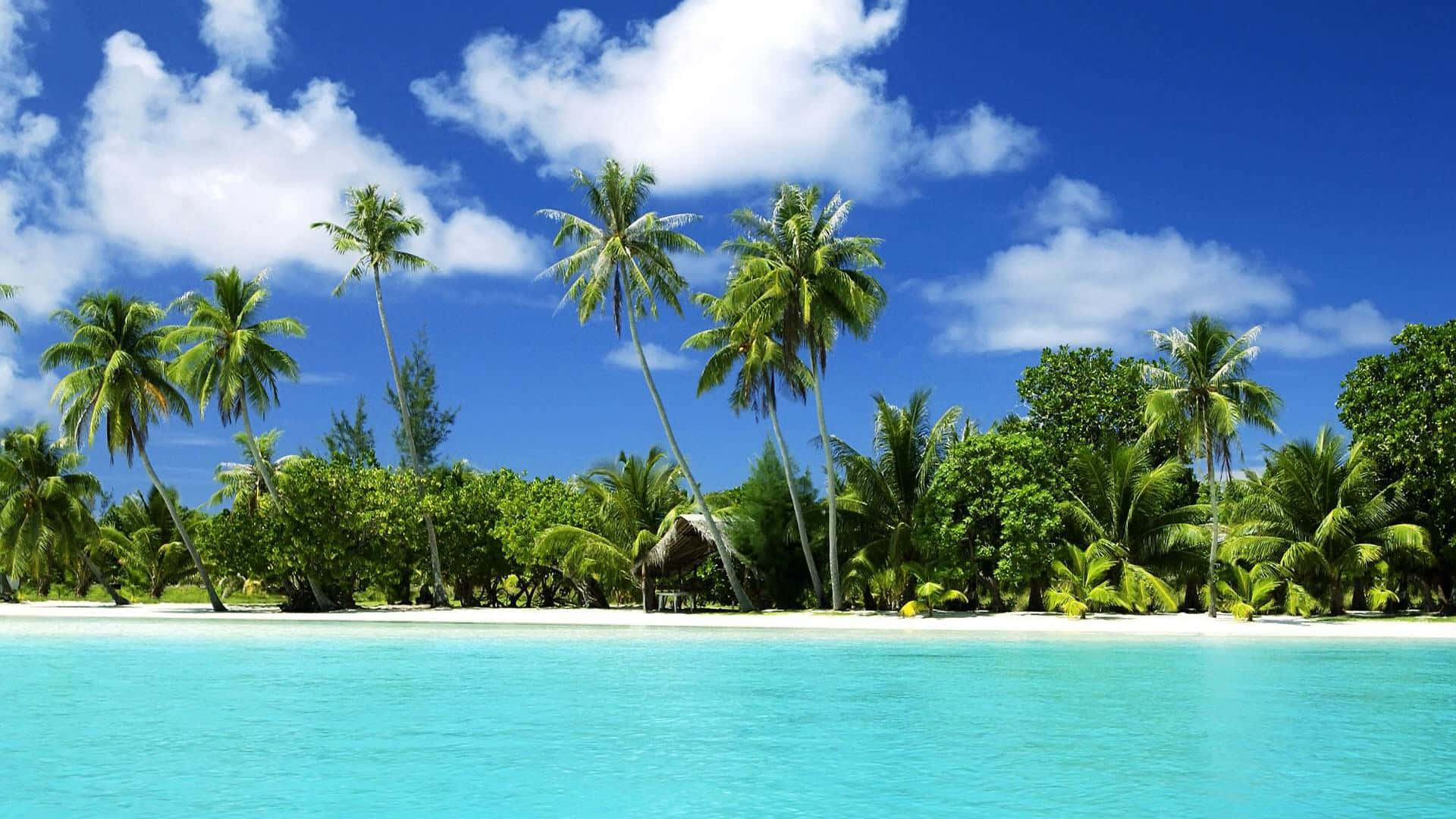 Enjoy A Moment Of Bliss With A Vacation To A Cute Tropical Paradise. Background