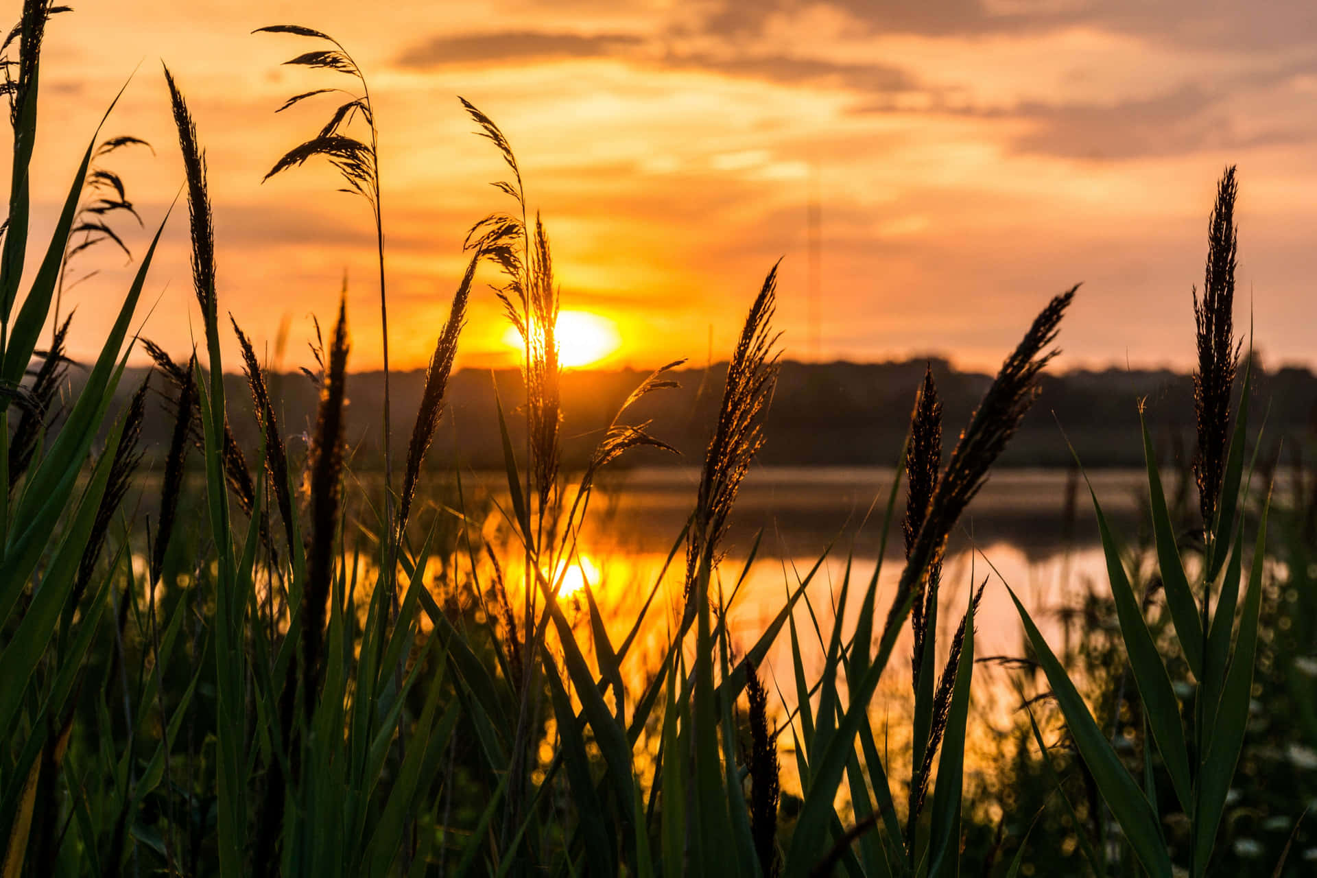 Enjoy A Moment Of Peace And Relaxation With Beautiful Sunshine Background