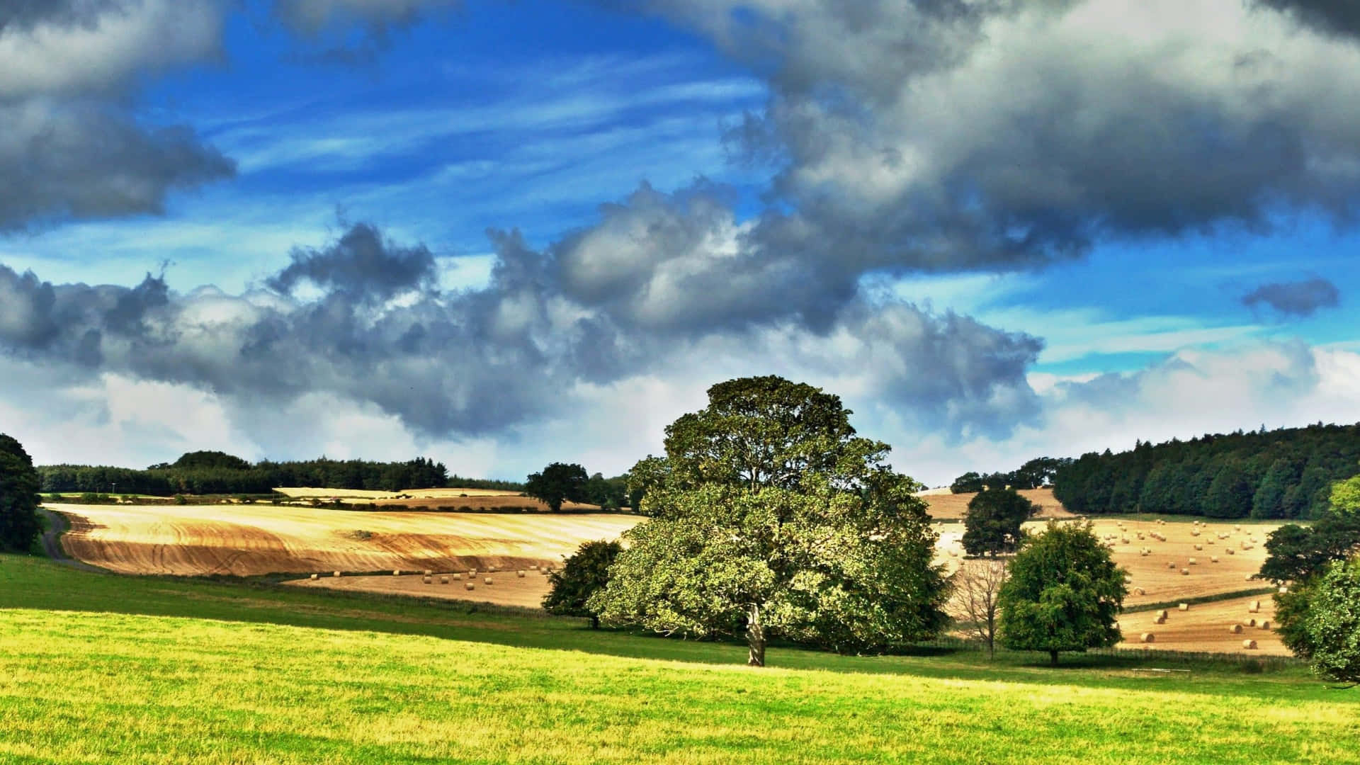 Enjoy A Peaceful Afternoon In The Countryside