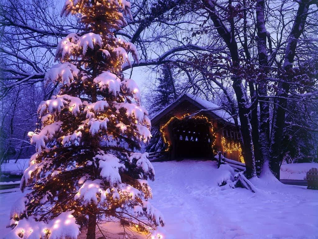 Enjoy A Peaceful And Magical Winter Holiday Background