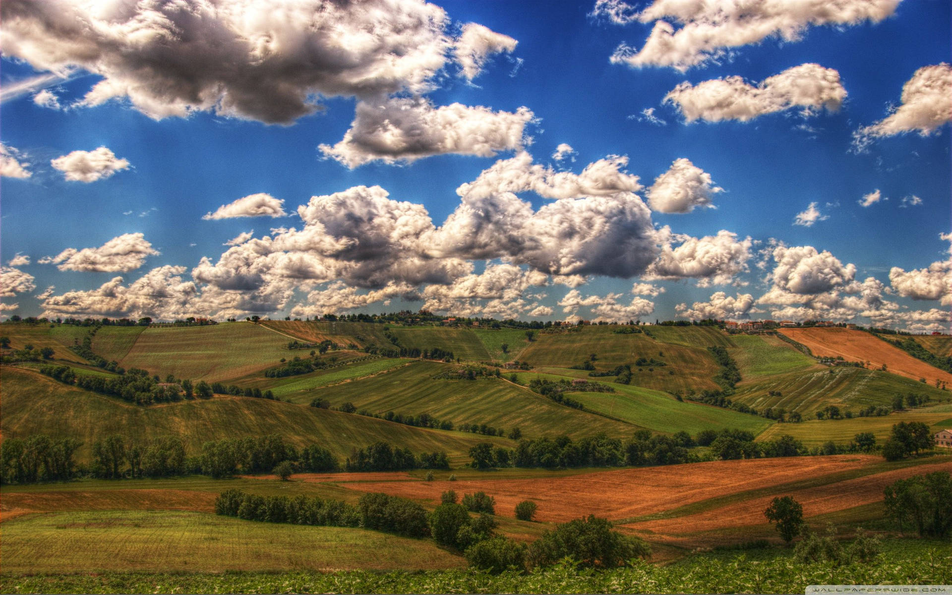 Enjoy A Peaceful Morning In A Serene Rural Location Background