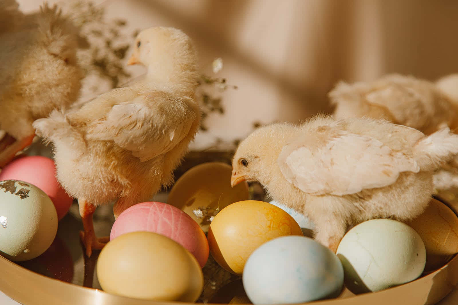 Enjoy A Picture Perfect Pastel Easter