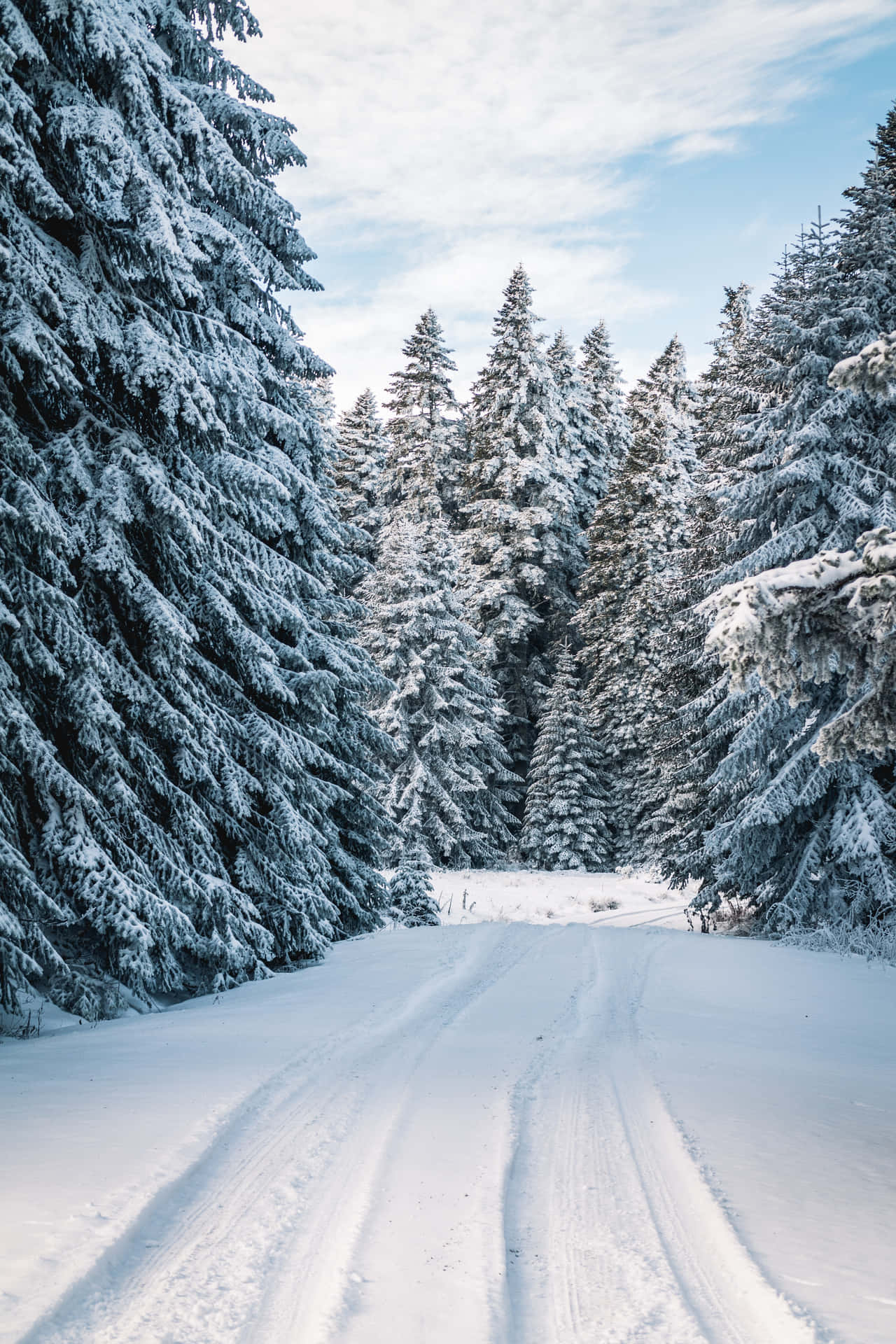 Enjoy A Picturesque View Of Winter! Background