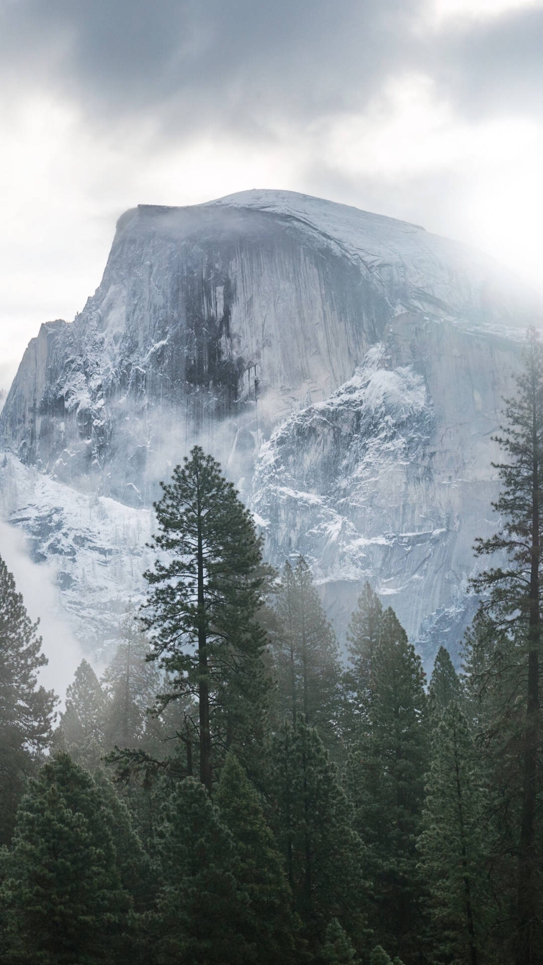 Enjoy A Picturesque View Of Yosemite Valley From The Convenience Of Your Iphone Background