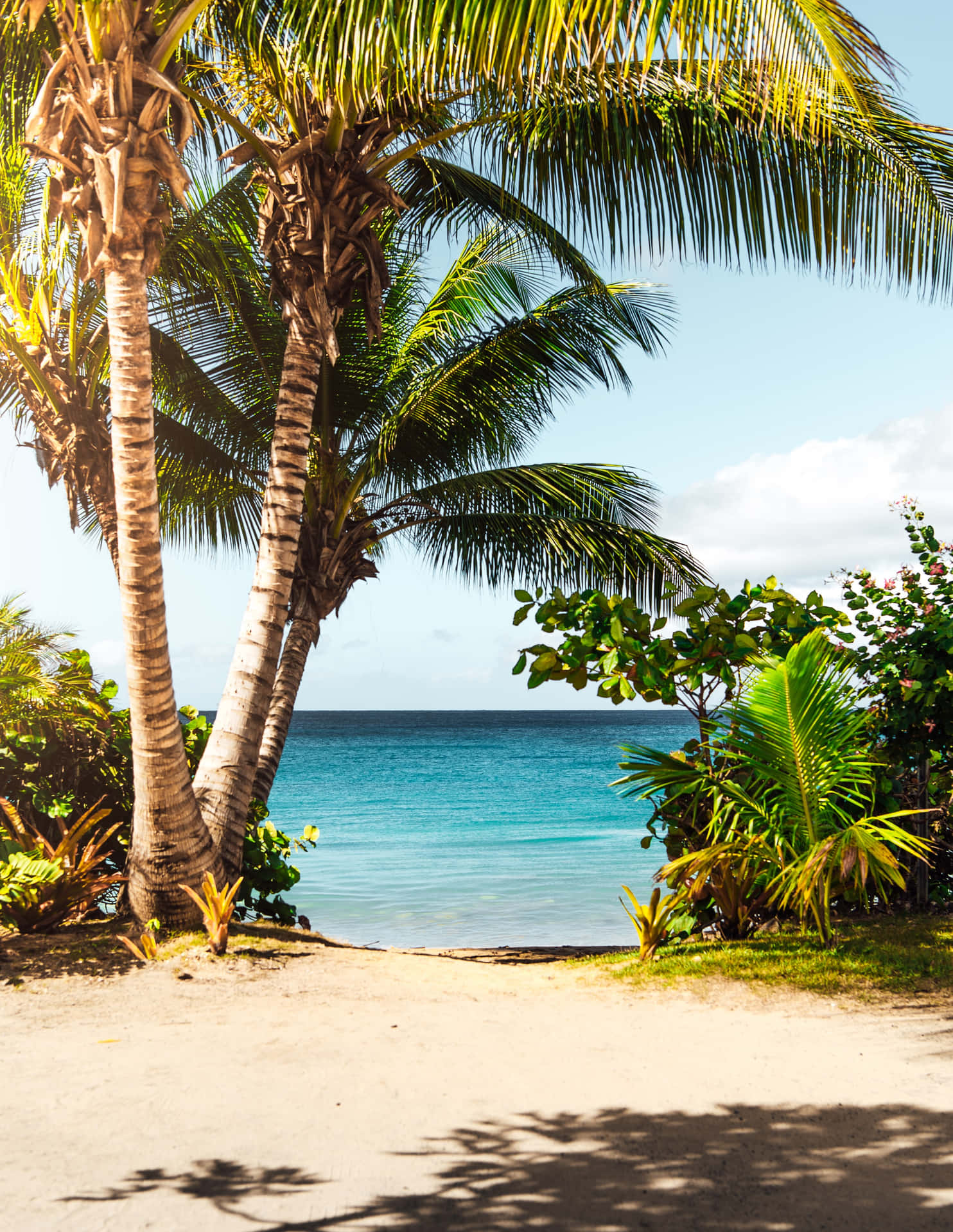 Enjoy A Relaxing Day At Pretty Beach Background