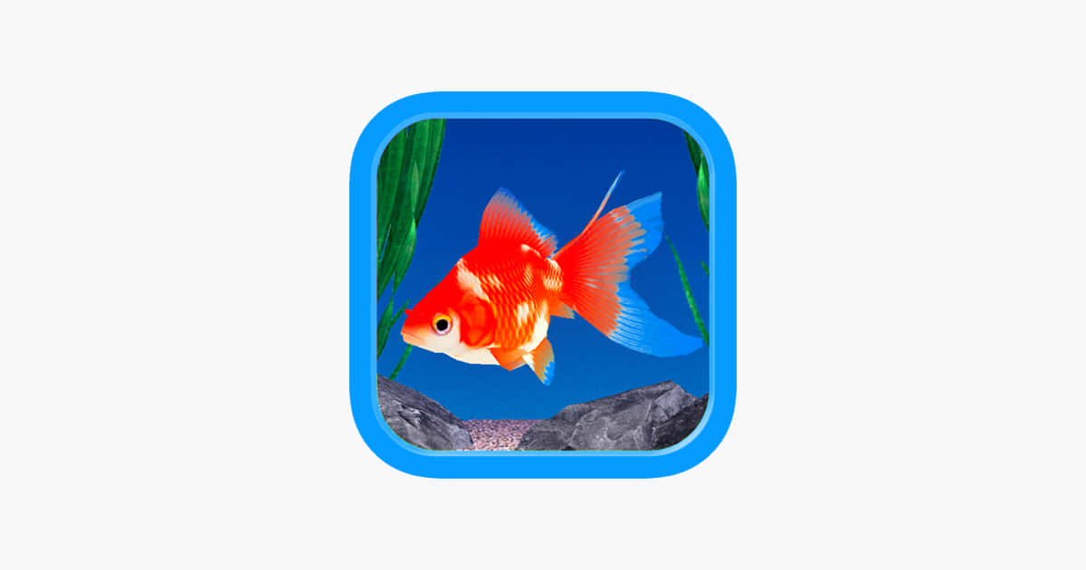 Enjoy A Relaxing View Of A Beautiful Aquarium Fish Tank Background