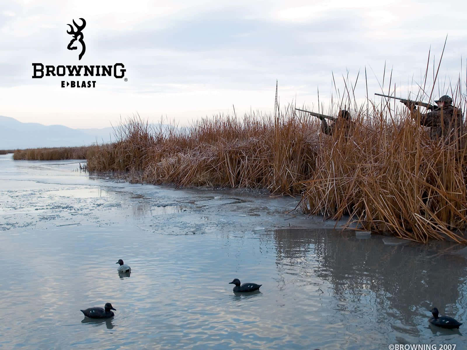 Enjoy A Relaxing Virtual Outdoor Atmosphere With Browning Desktop Background