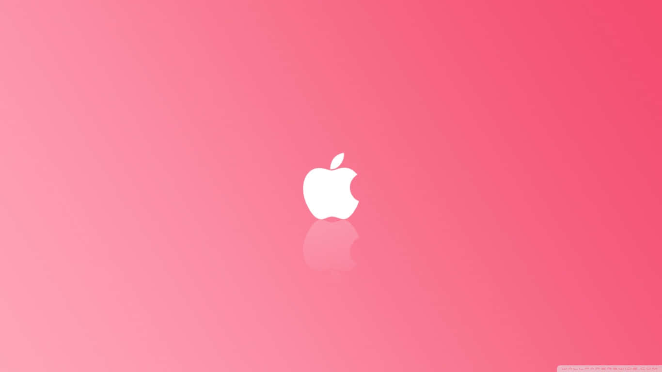 Enjoy A Simple Pink Wallpaper