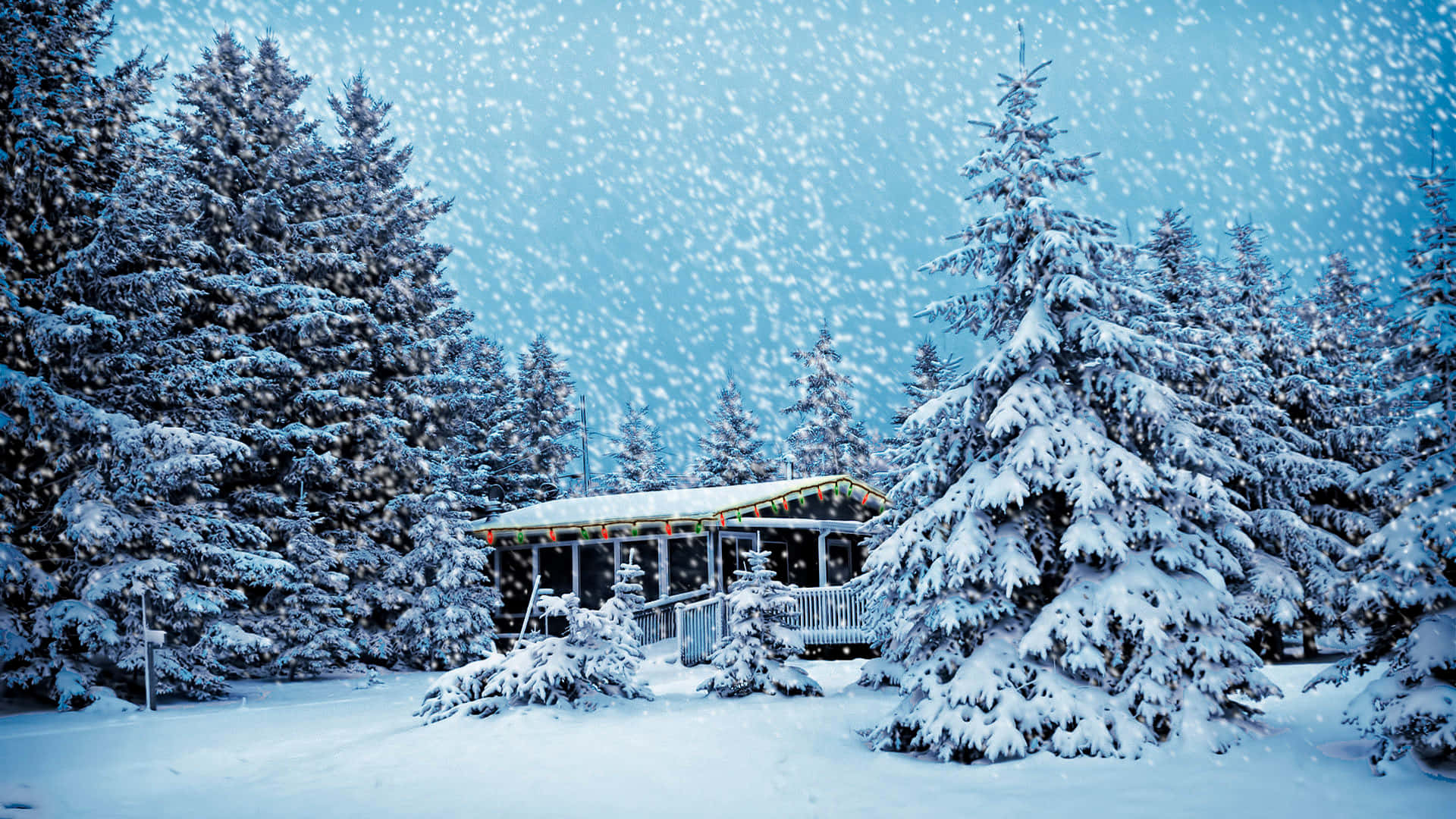 Enjoy A Snow-covered Winter Wonderland Background