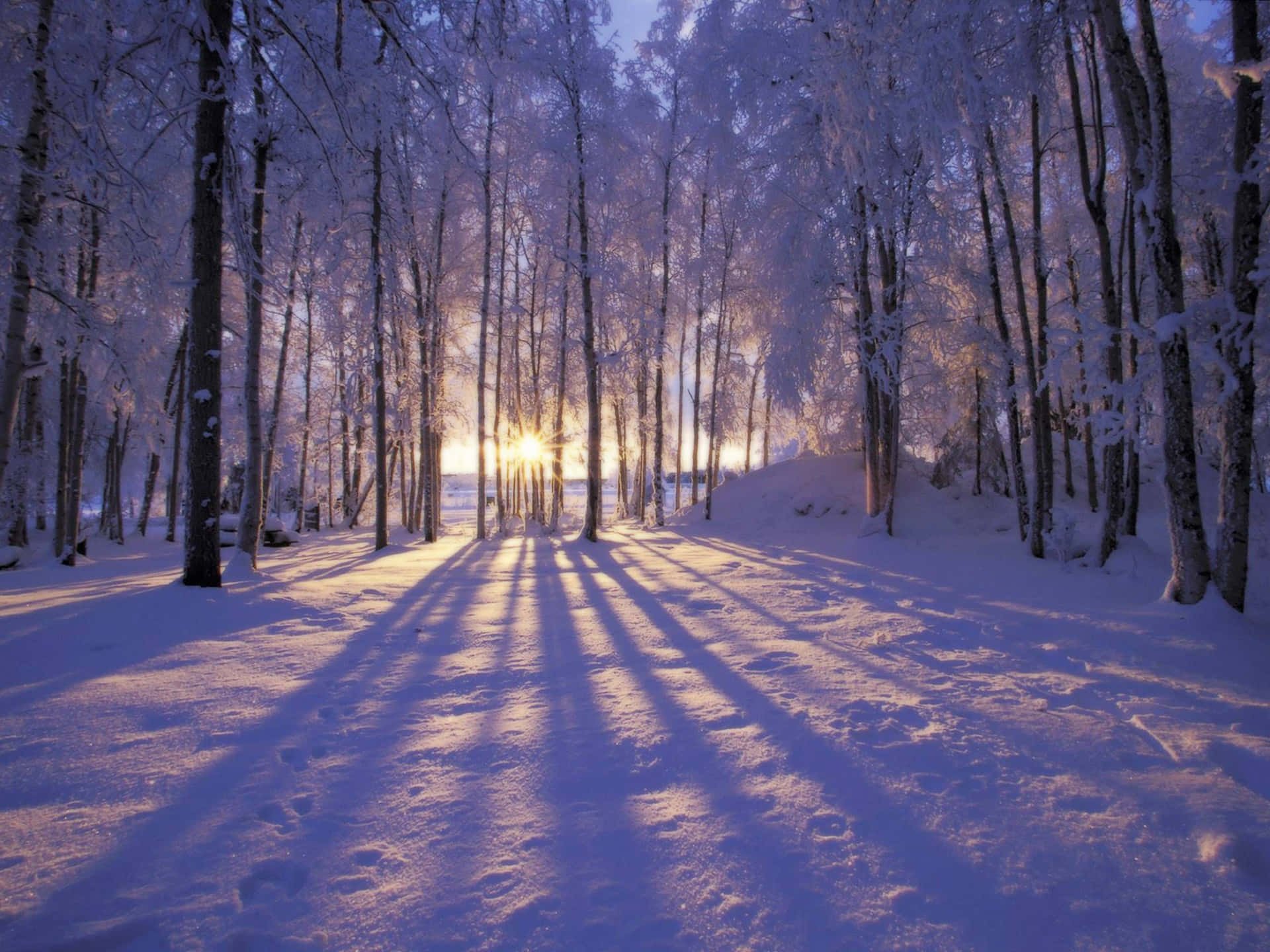 Enjoy A Snowy Winter Night From Your Desktop Background