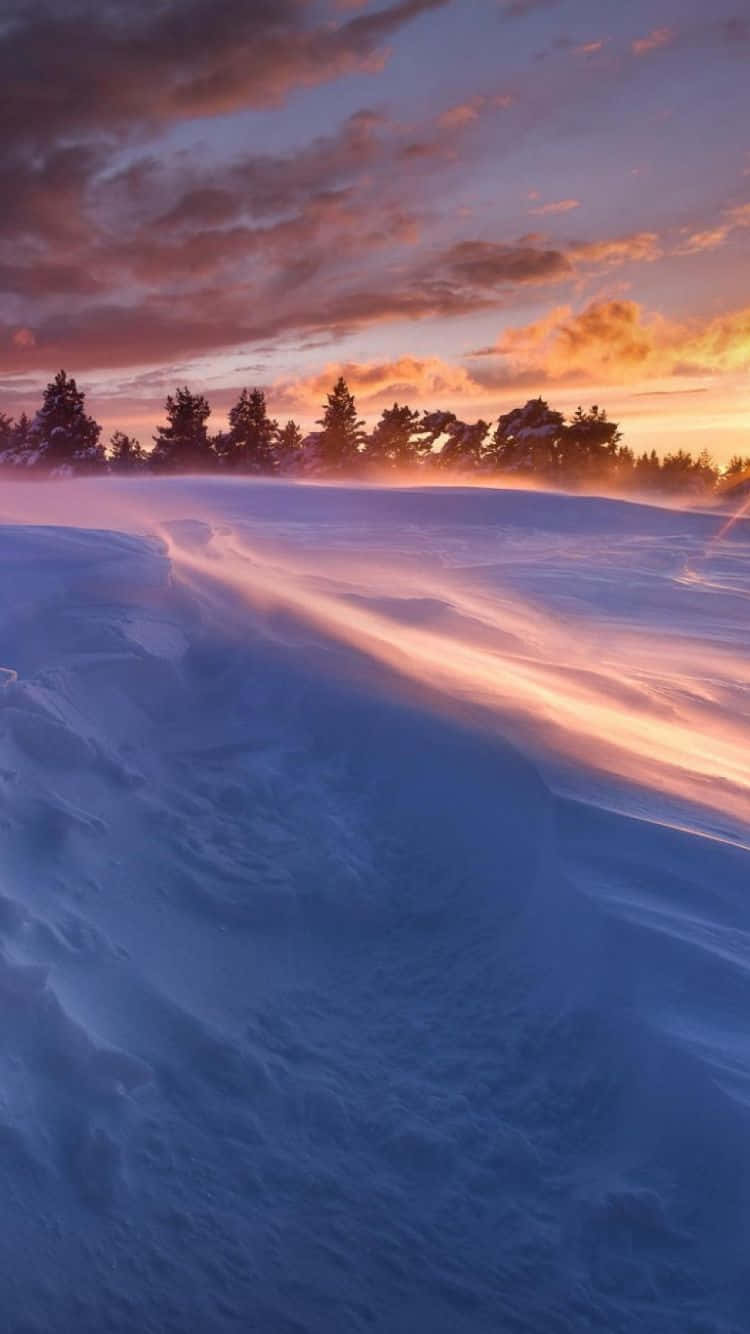 Enjoy A Snowy Winter Through Your Iphone 6 Plus Background