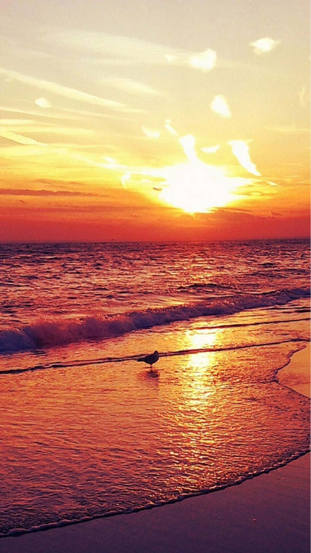 Enjoy A Stunning Sunset At The Beach With Your Iphone Background