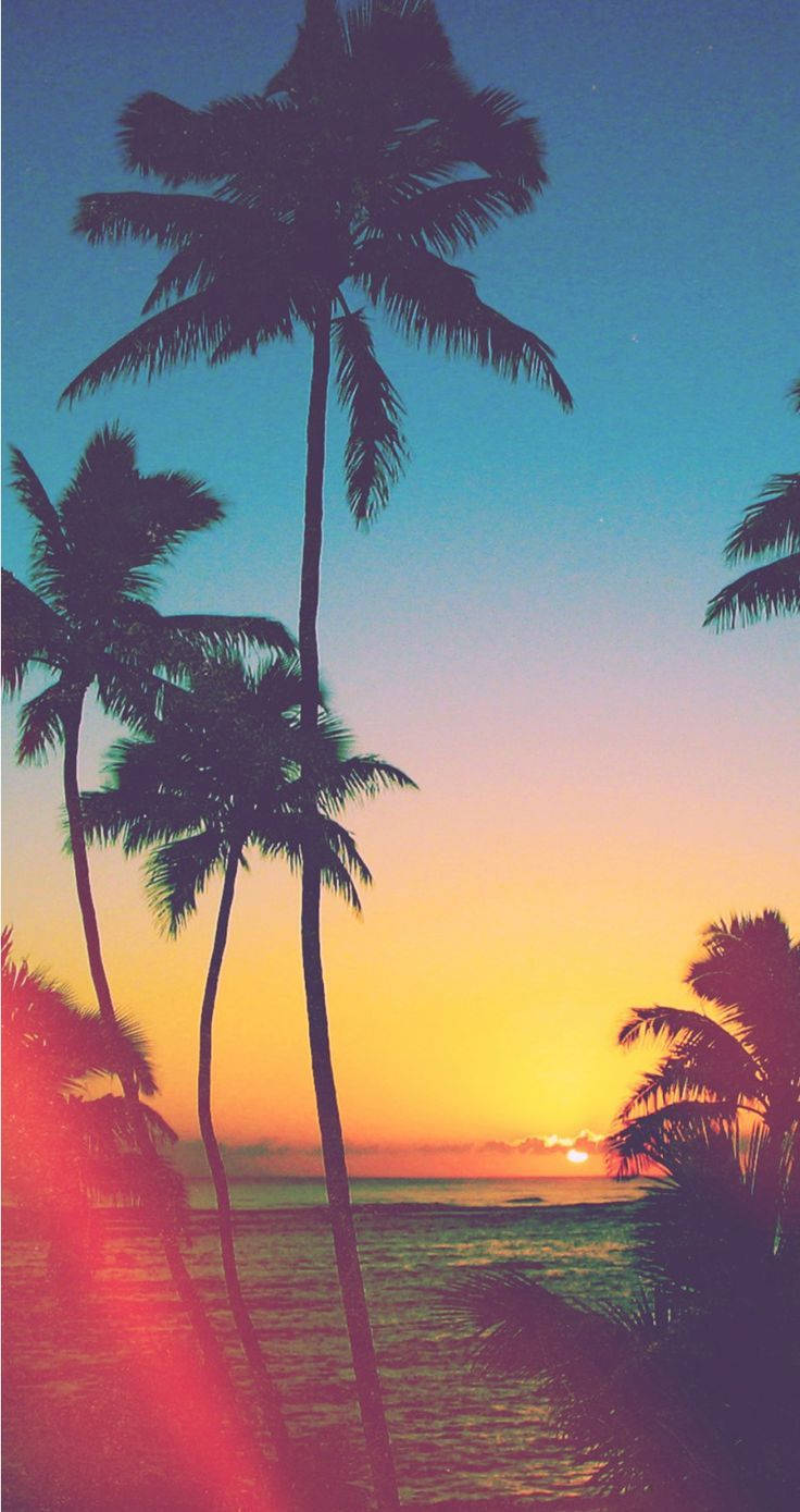 Enjoy A Sunset Beach Paradise With Your Iphone Background