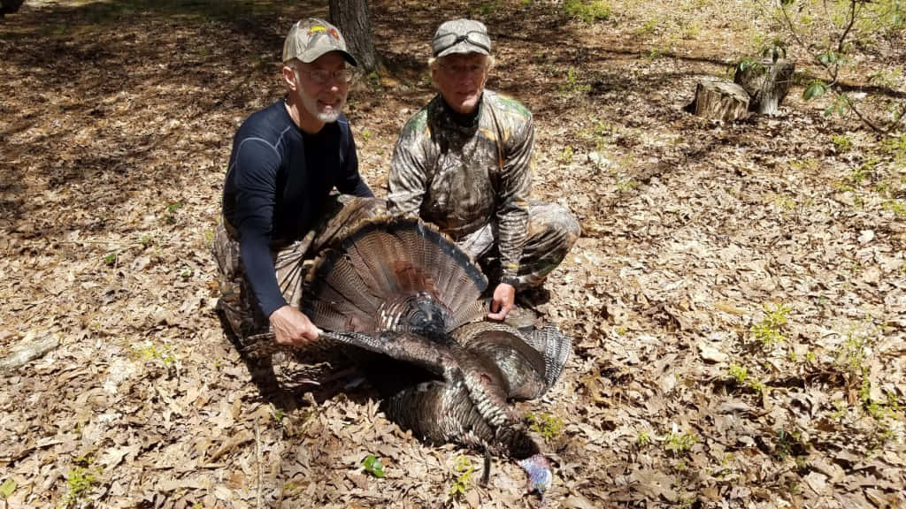 Enjoy A Thrilling Day Of Turkey Hunting