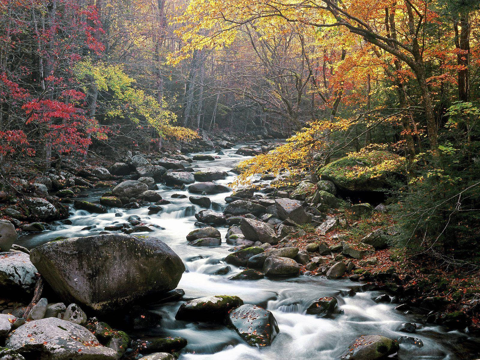 Enjoy A Tranquil View Of Sunset Over The Majestic Great Smoky Mountains. Background