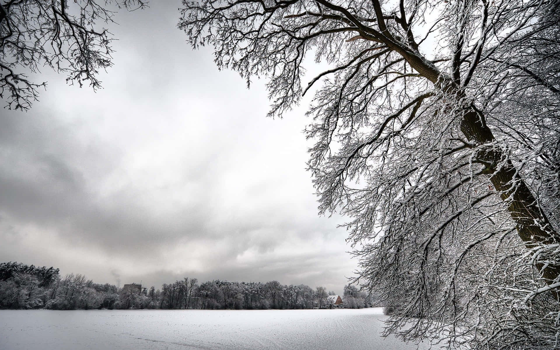 Enjoy A Tranquil Winter Landscape With This Winter Scenery Desktop Wallpaper Background