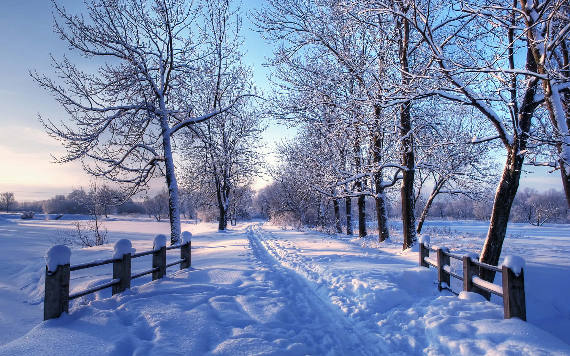 Enjoy A Winter Landscape With Magical Snow Background