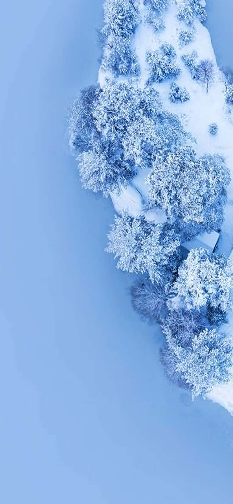 Enjoy A Winter Wonderland With This Beautiful Snowscape Desktop Wallpaper. Background