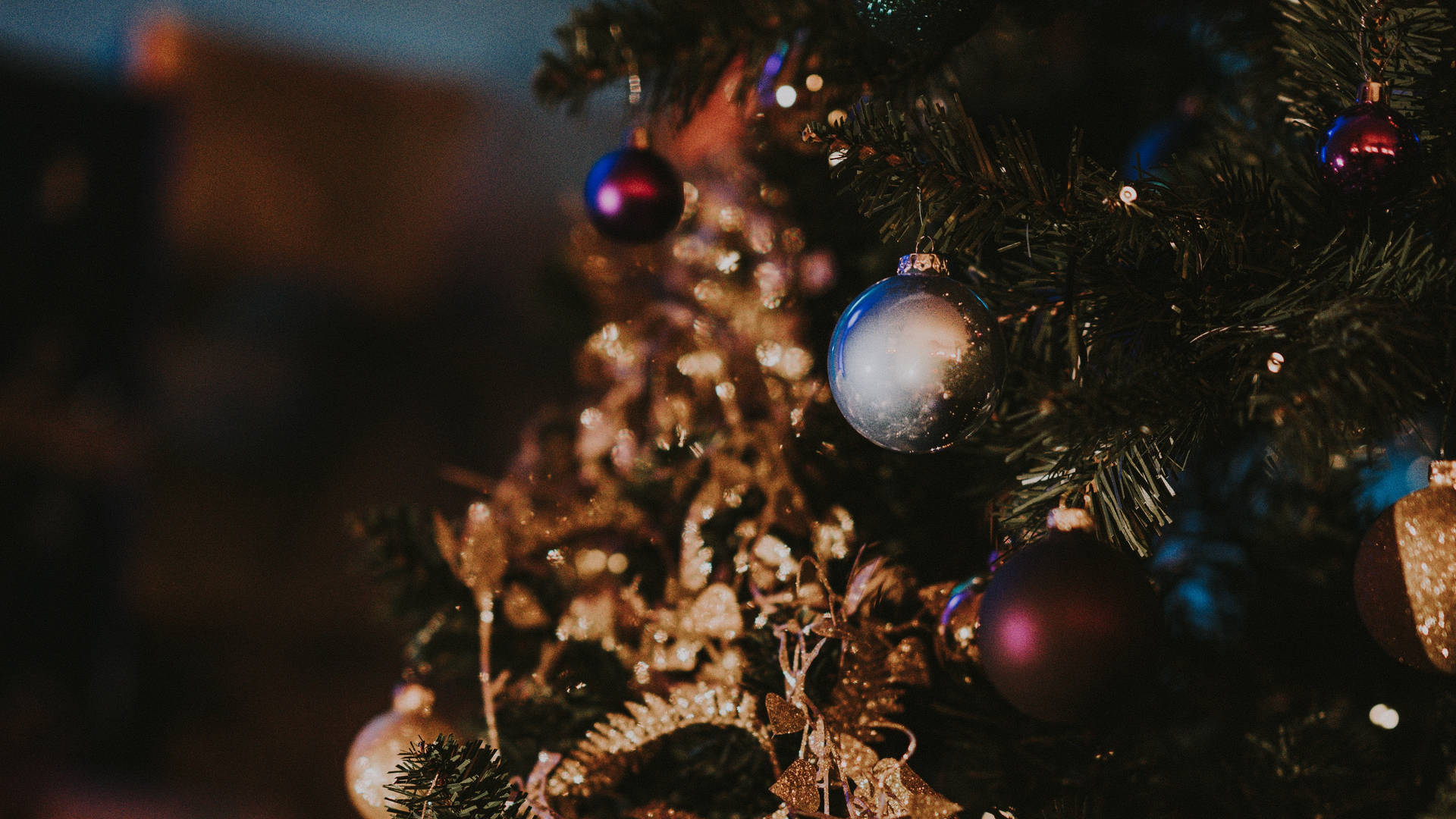 Enjoy A Wintery Winter Evening In A Magical Christmas Forest Background