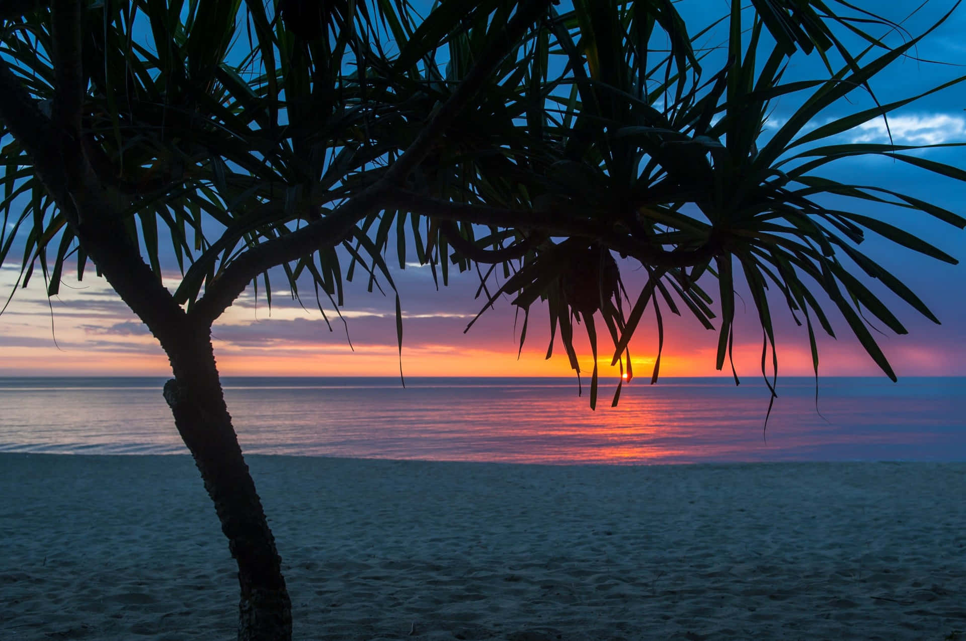 Enjoy An Aesthetic Beach Day With Your Laptop Background