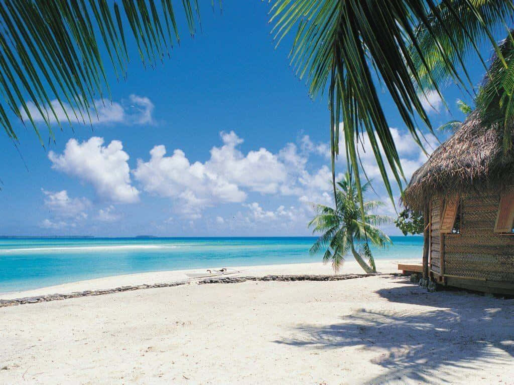 Enjoy An Endless Summer Background