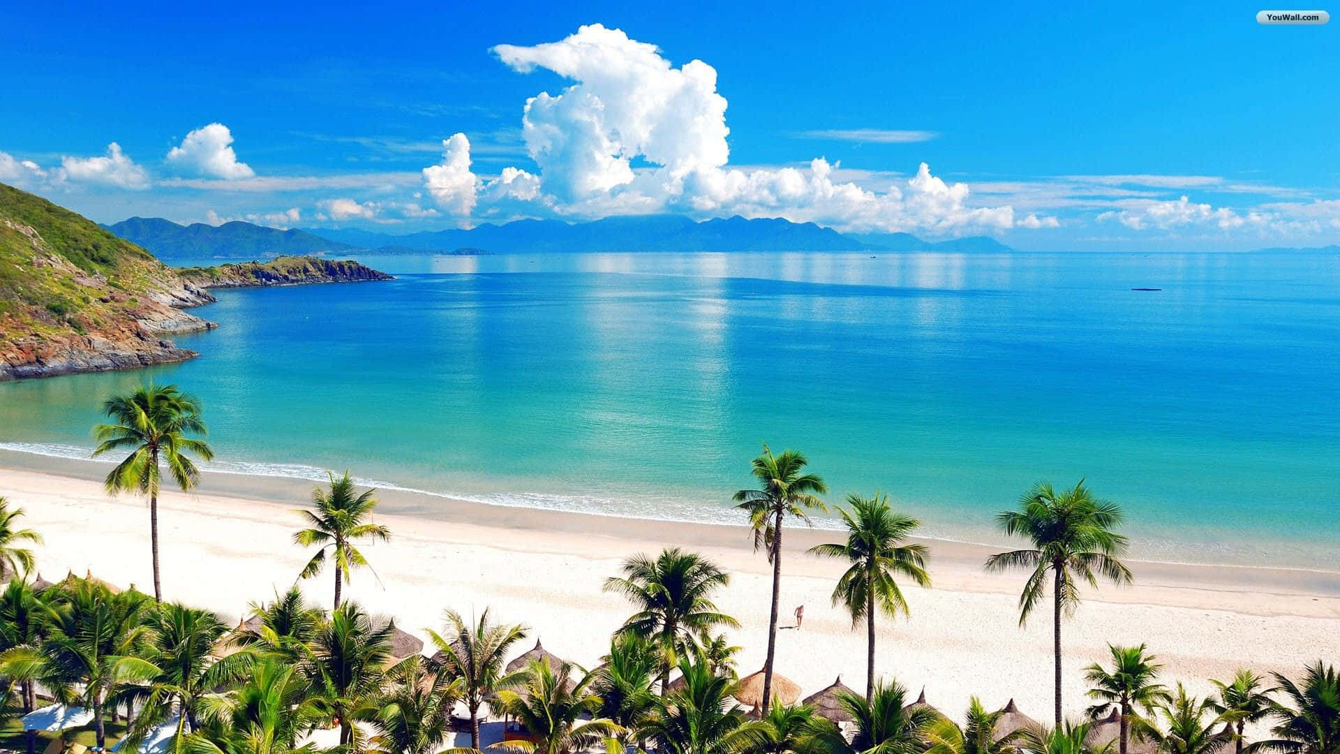 Enjoy An Exotic Scene At The Beach Background