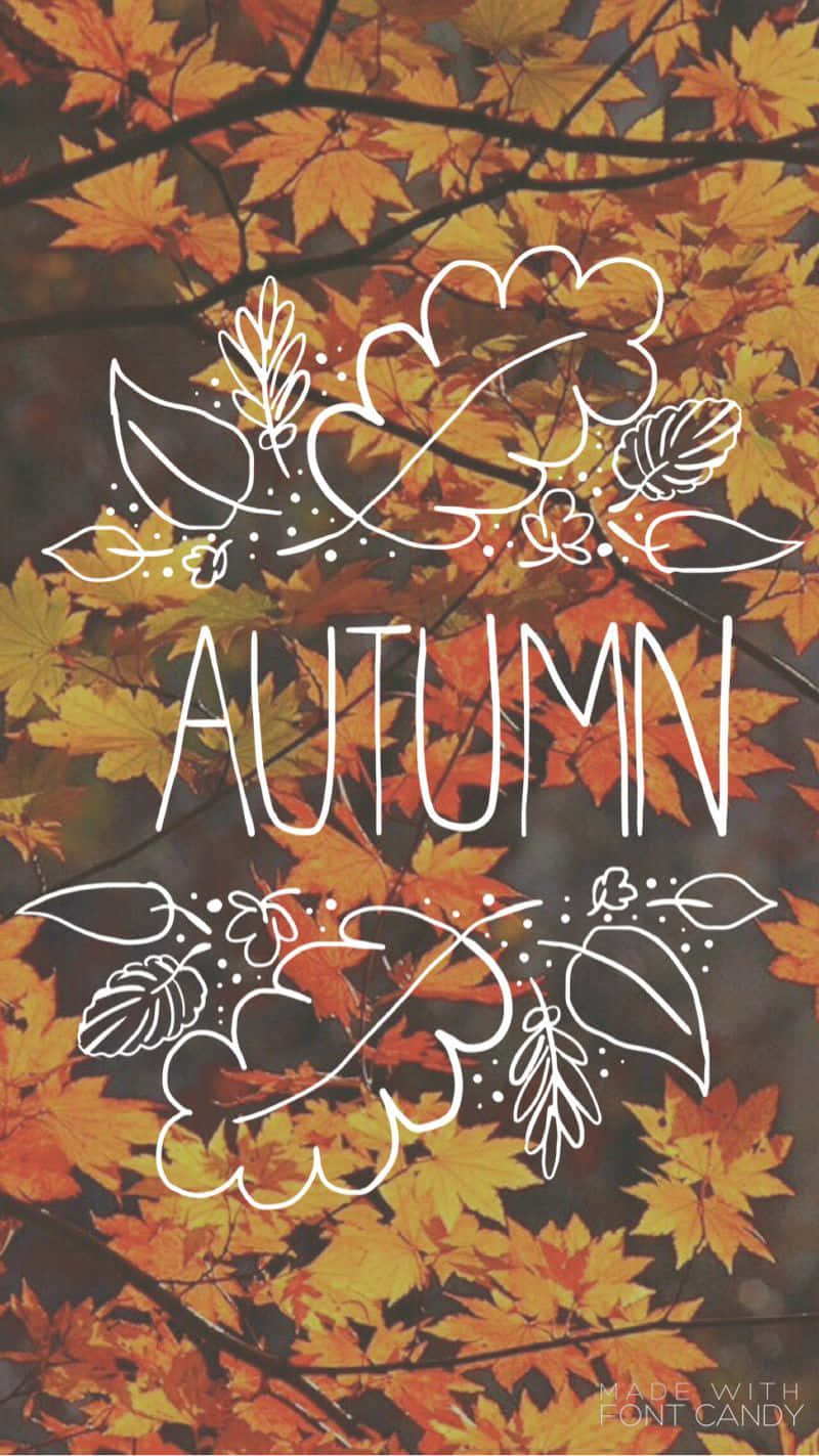 Enjoy Autumn In Style With The The Cutest Iphone! Background