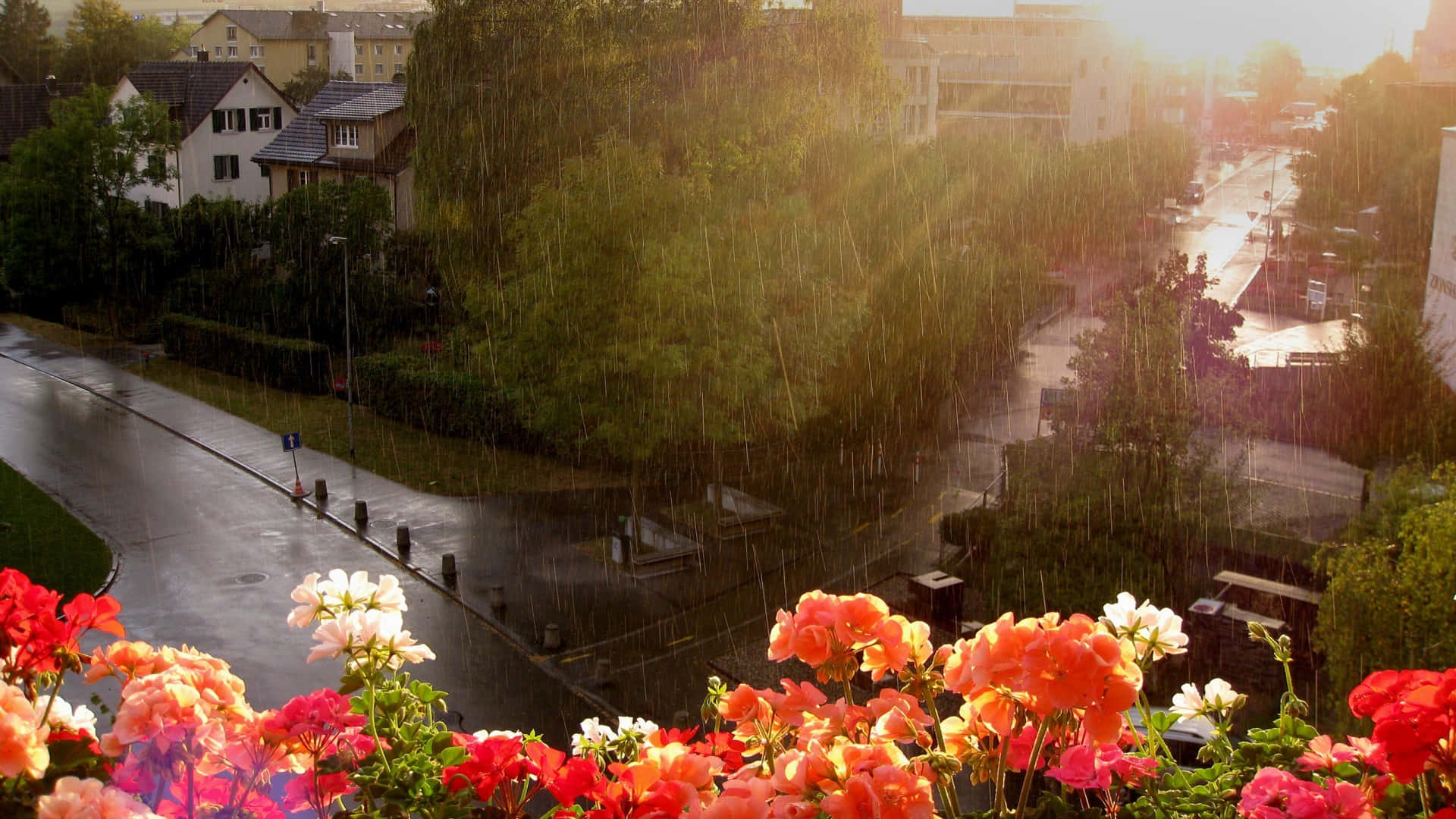 Enjoy Beautiful Rainy Weather On Your Desktop Background