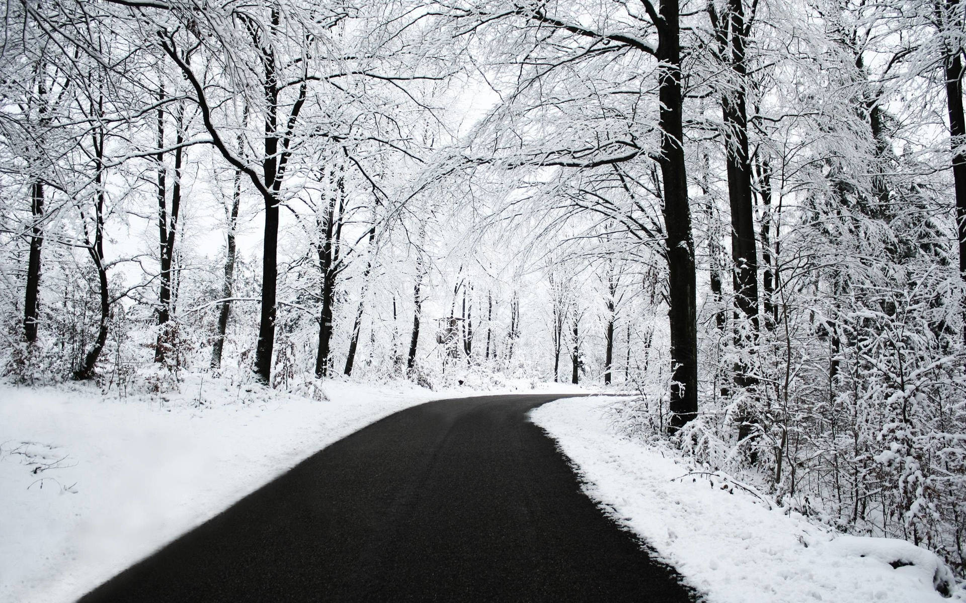 Enjoy Beautiful Winter Scenery From Your Desktop Background