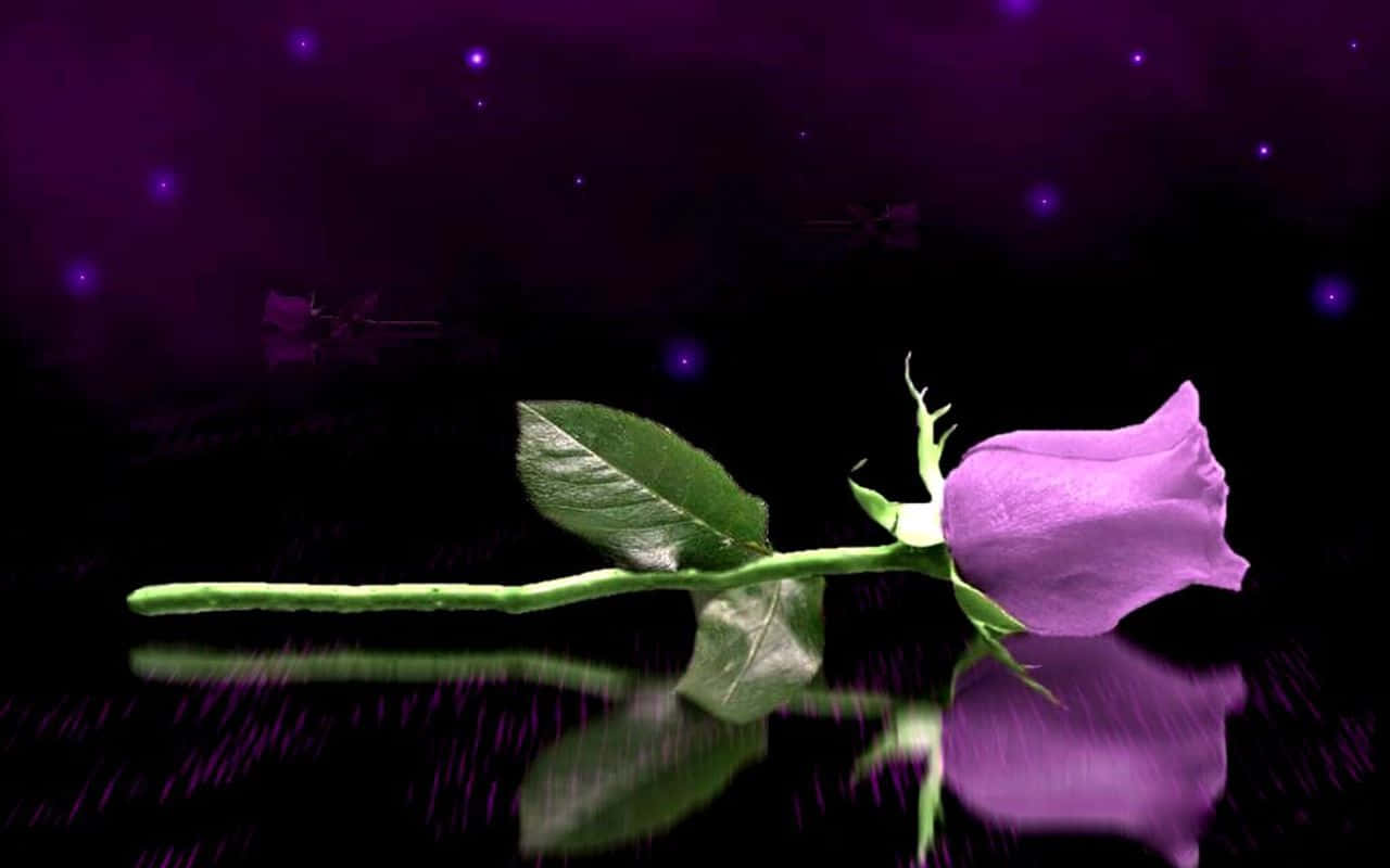 Enjoy Effortless Computing With The Purple Laptop Background
