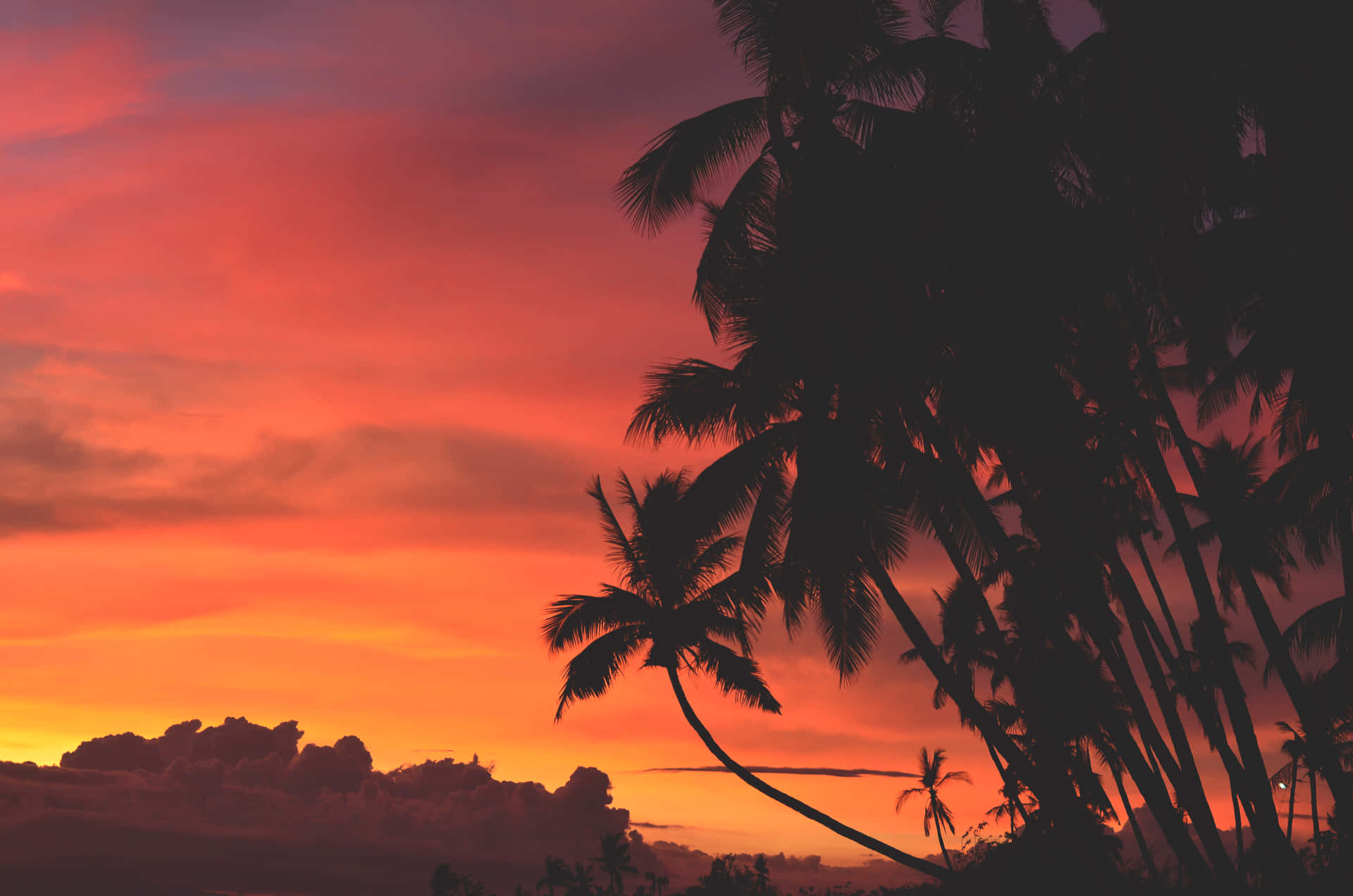 Enjoy Endless Beauty At Hawaii Sunset Background