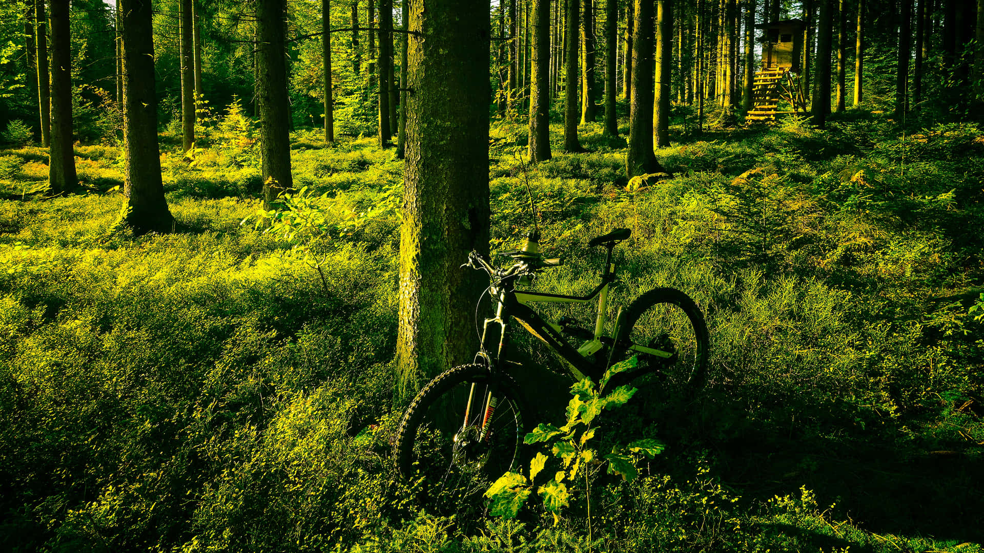 Enjoy Every Moment With Bikes 4k Background