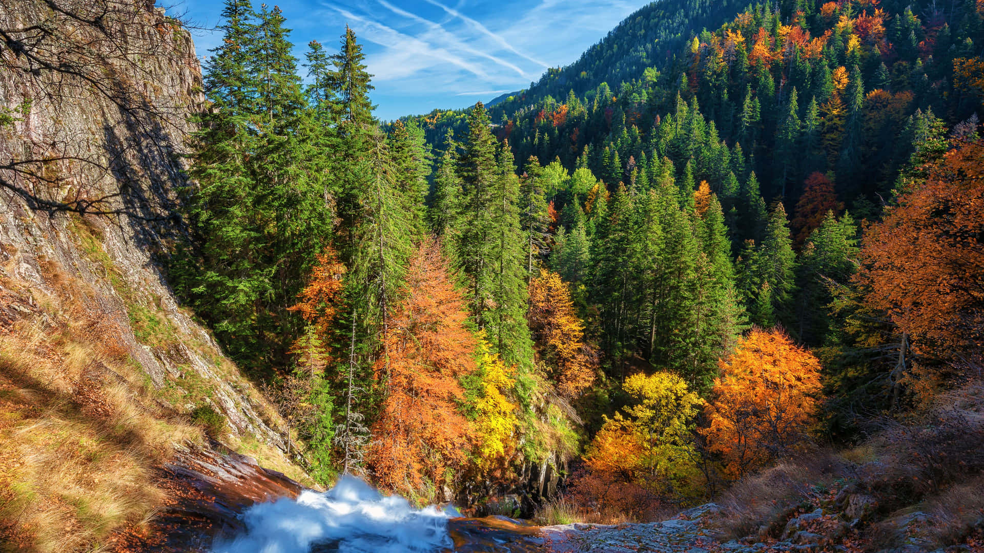 Enjoy Fall Indoors With Your Laptop Background