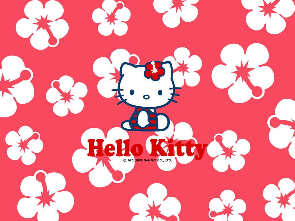 Enjoy Hello Kitty Pc Graphics And Customization Background