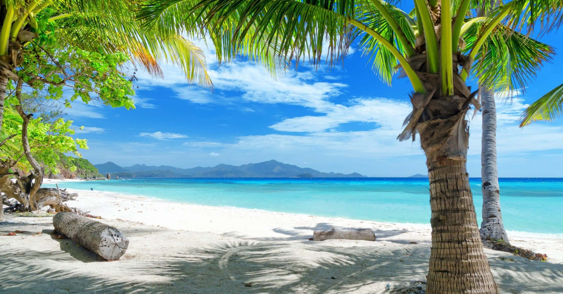 Enjoy Life And Soak Up The Summer!